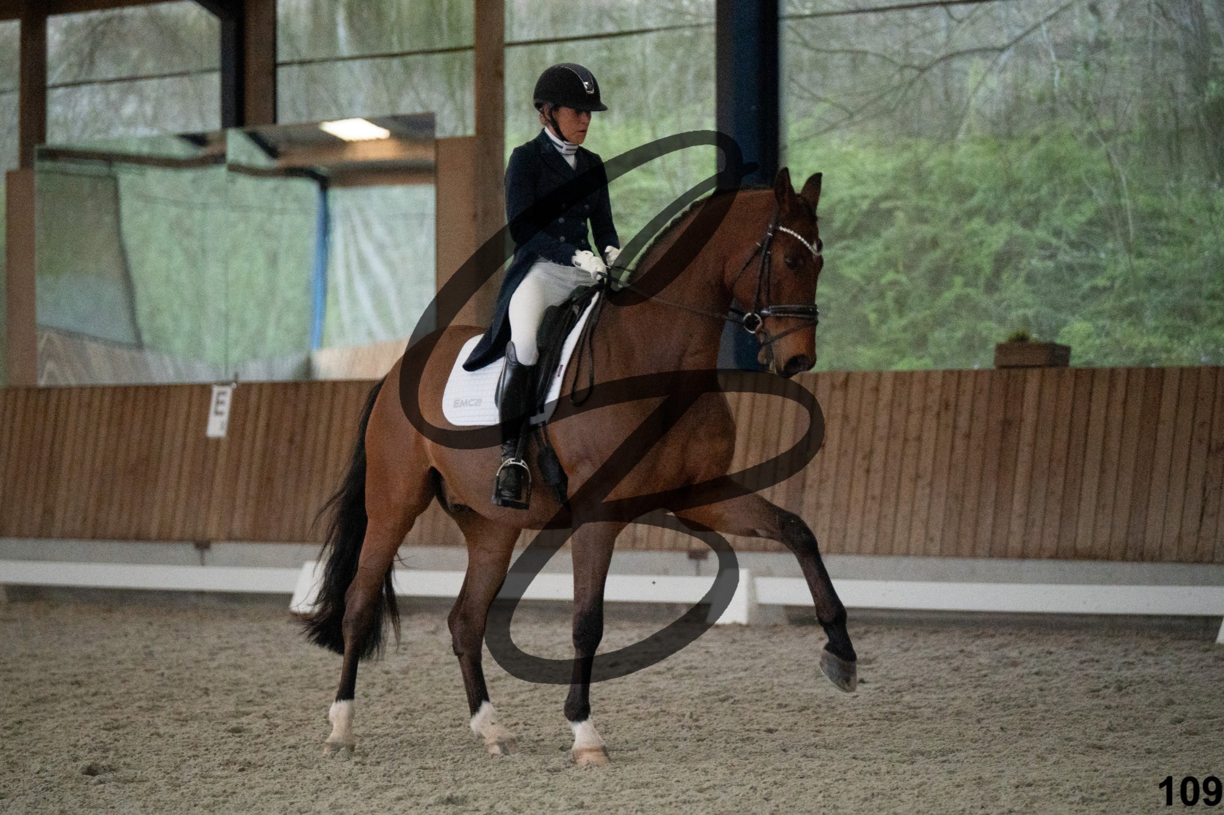 2026.03.22 - niv5 - saint georges-109.jpg