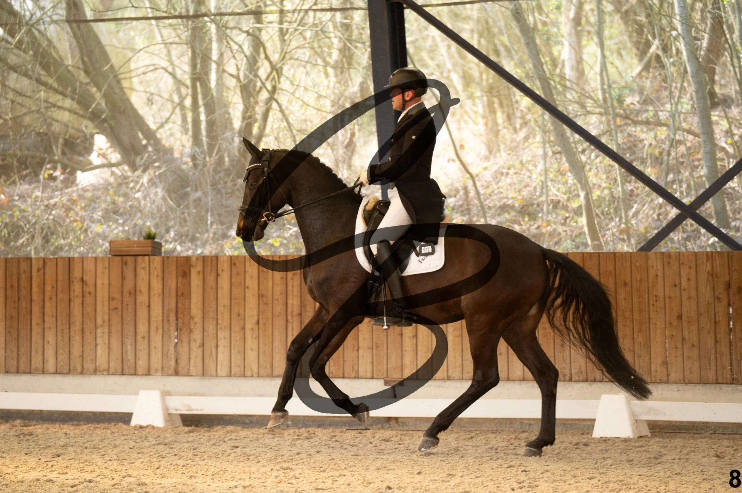 2026.03.22 - 7 ans - jeunes chevaux-25.jpg