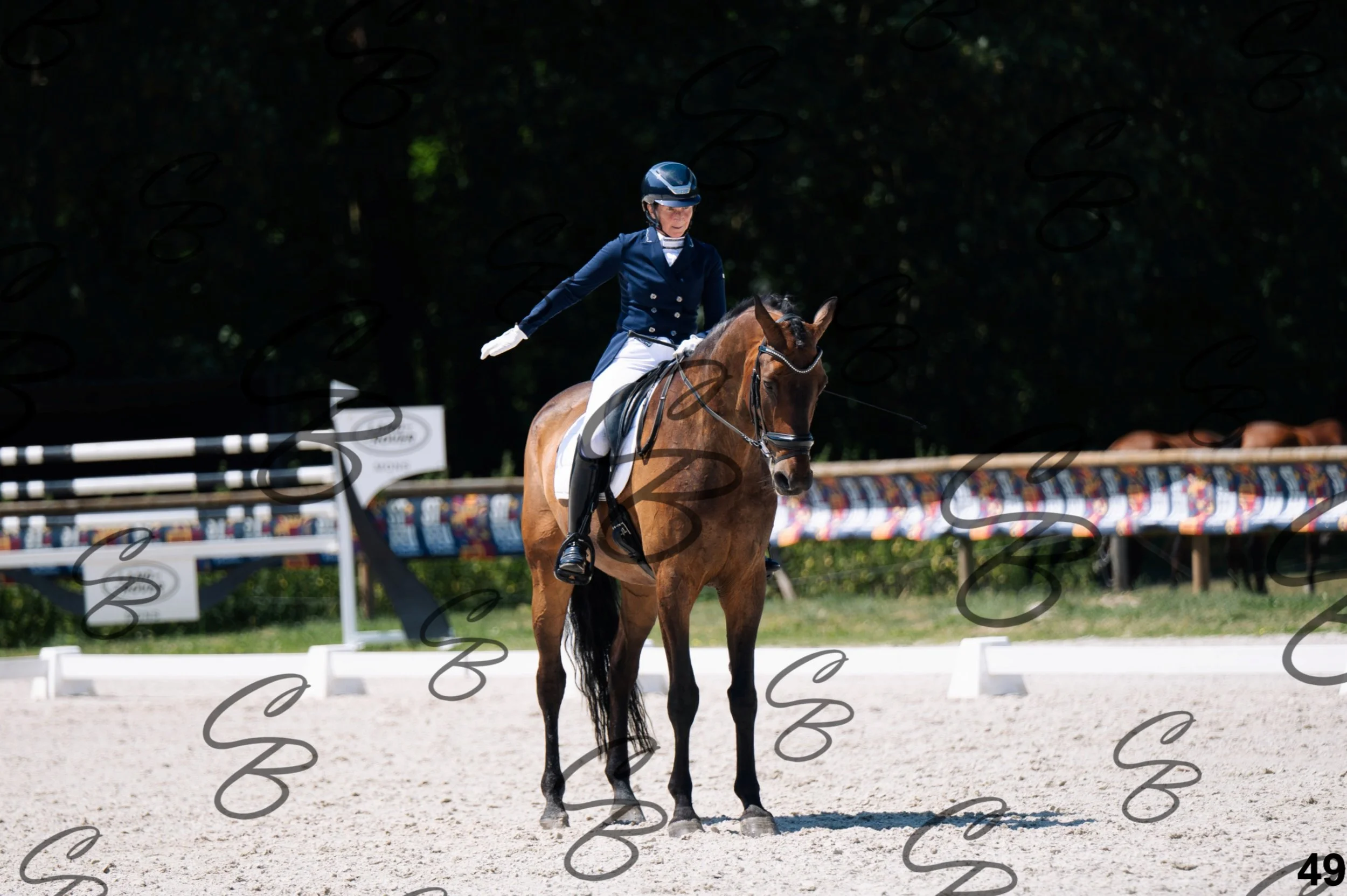 2026.07.12 - Niveau 5 - S3-49.jpg