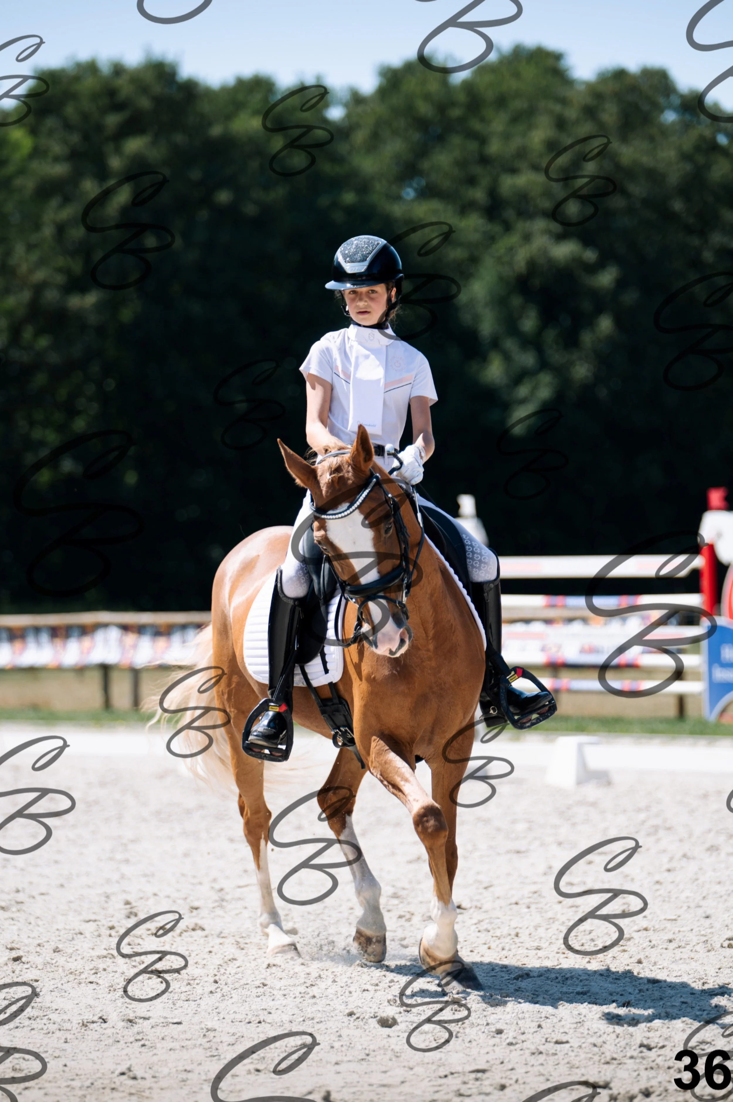 2026.07.12 - Niveau 2 - N2.4-36.jpg