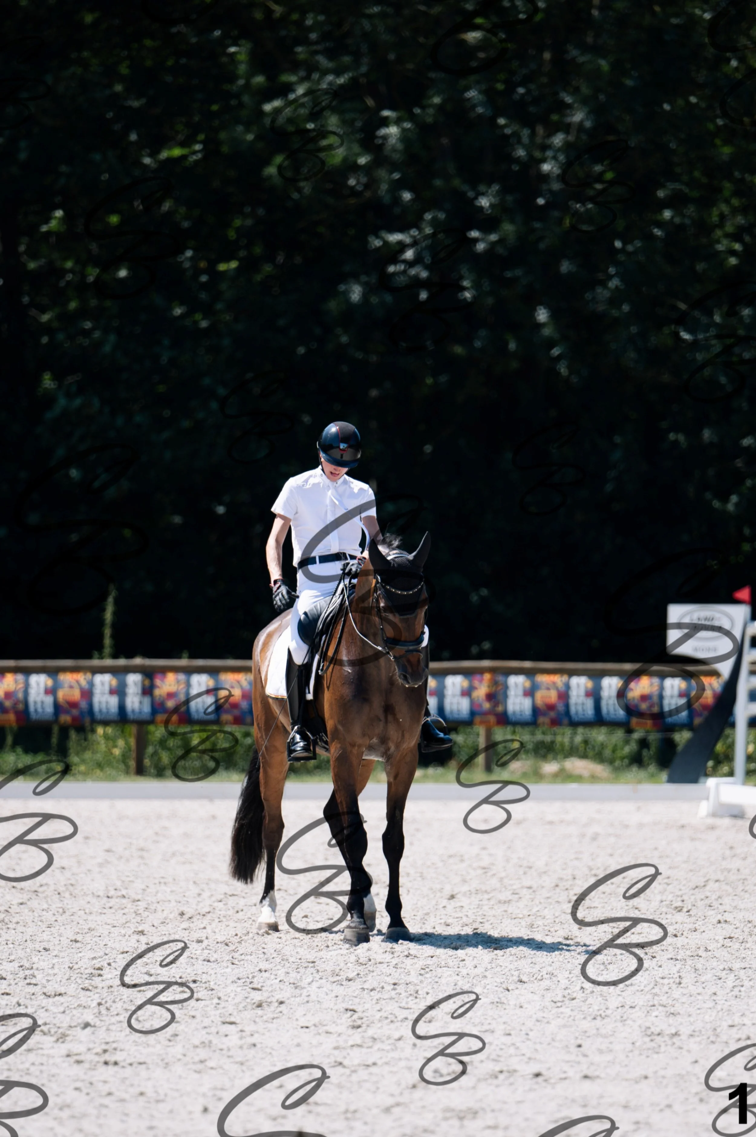 2026.07.12 - Jeunes chevaux - FEI 6YH Preliminary Test-1.jpg