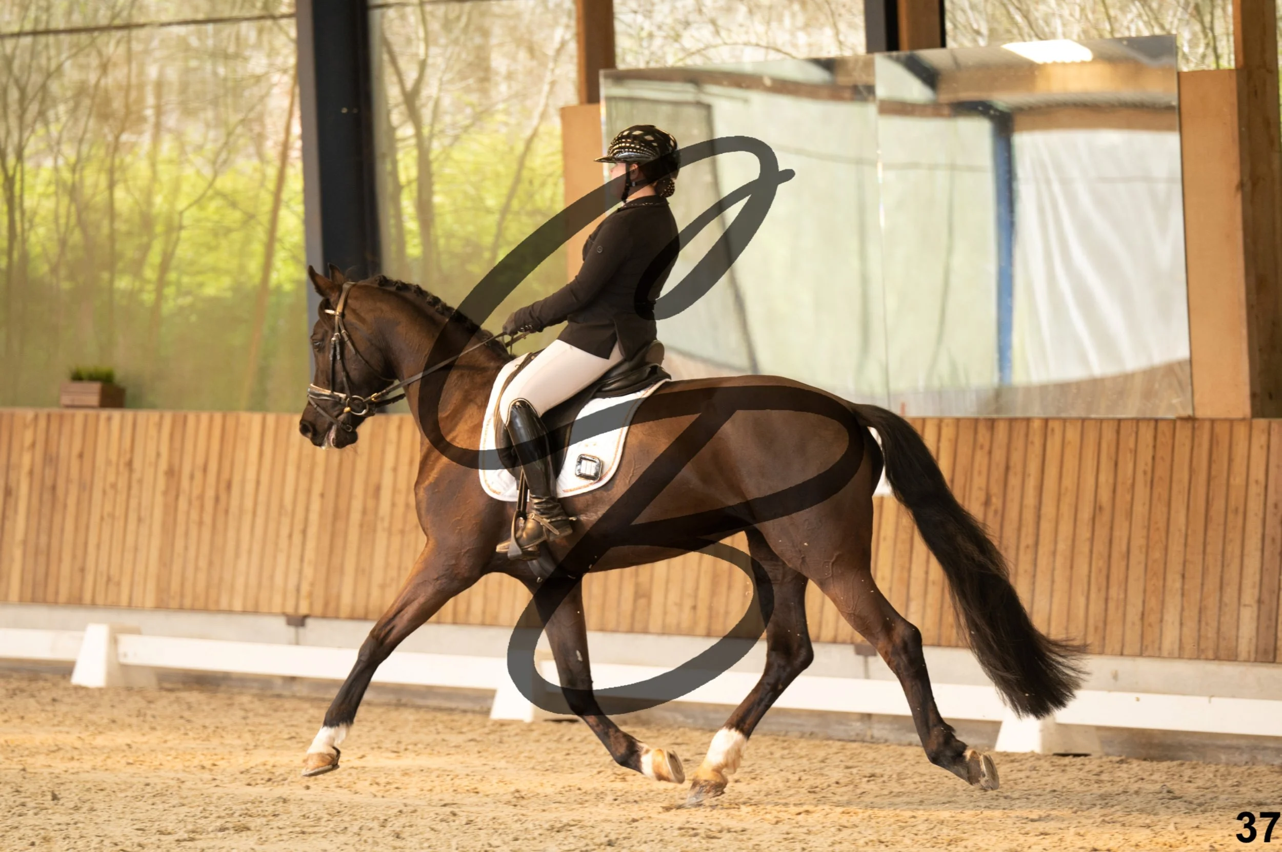 2026.03.22 - Niv4 - junior team test-37.jpg