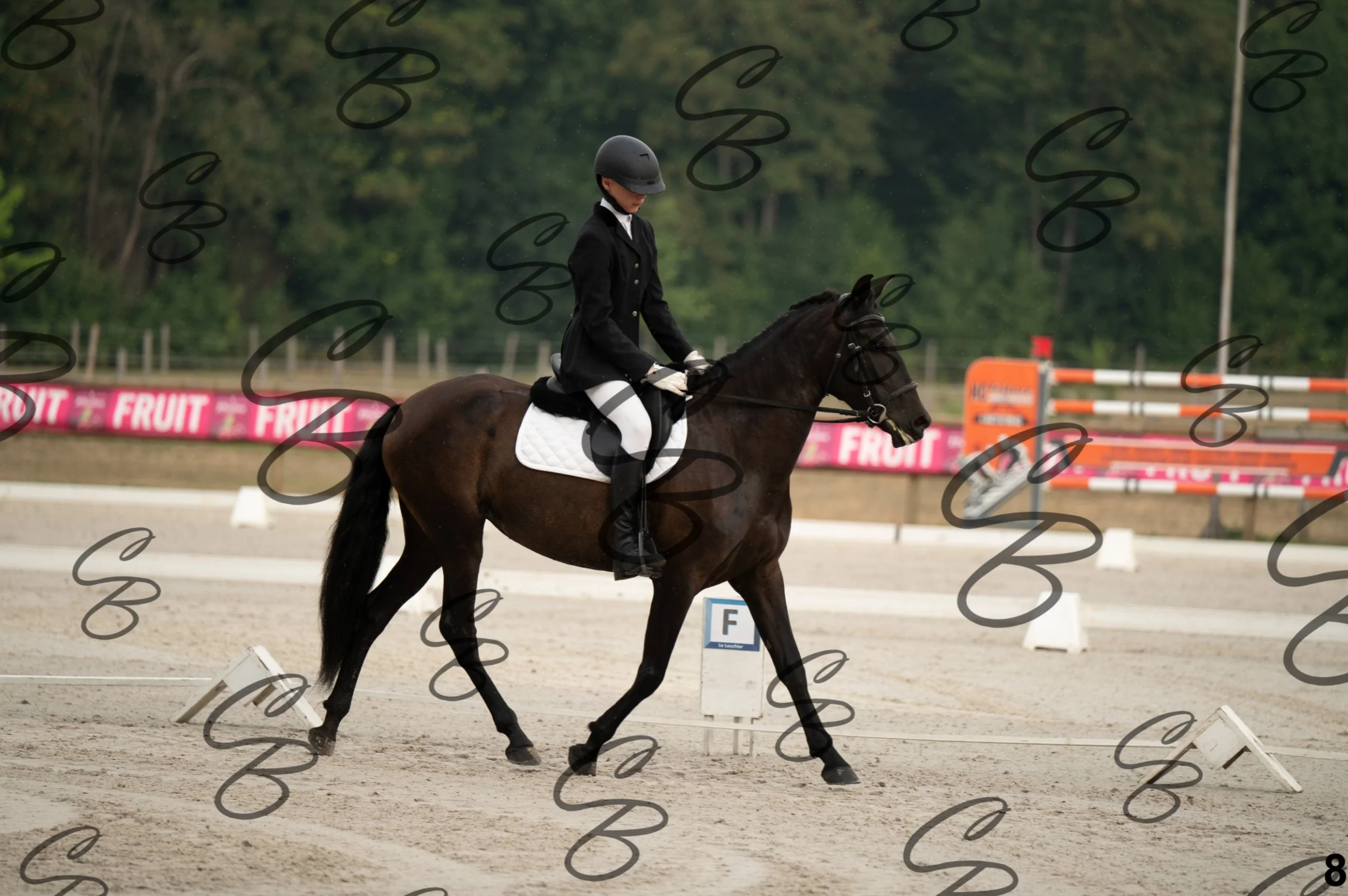 2026.08.15 - Louchier - GHO-17.jpg