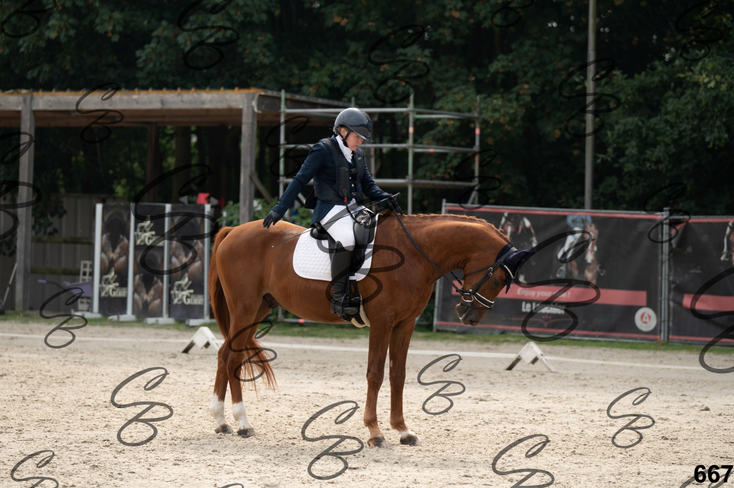 2026.08.15 - Louchier - GHO-767.jpg