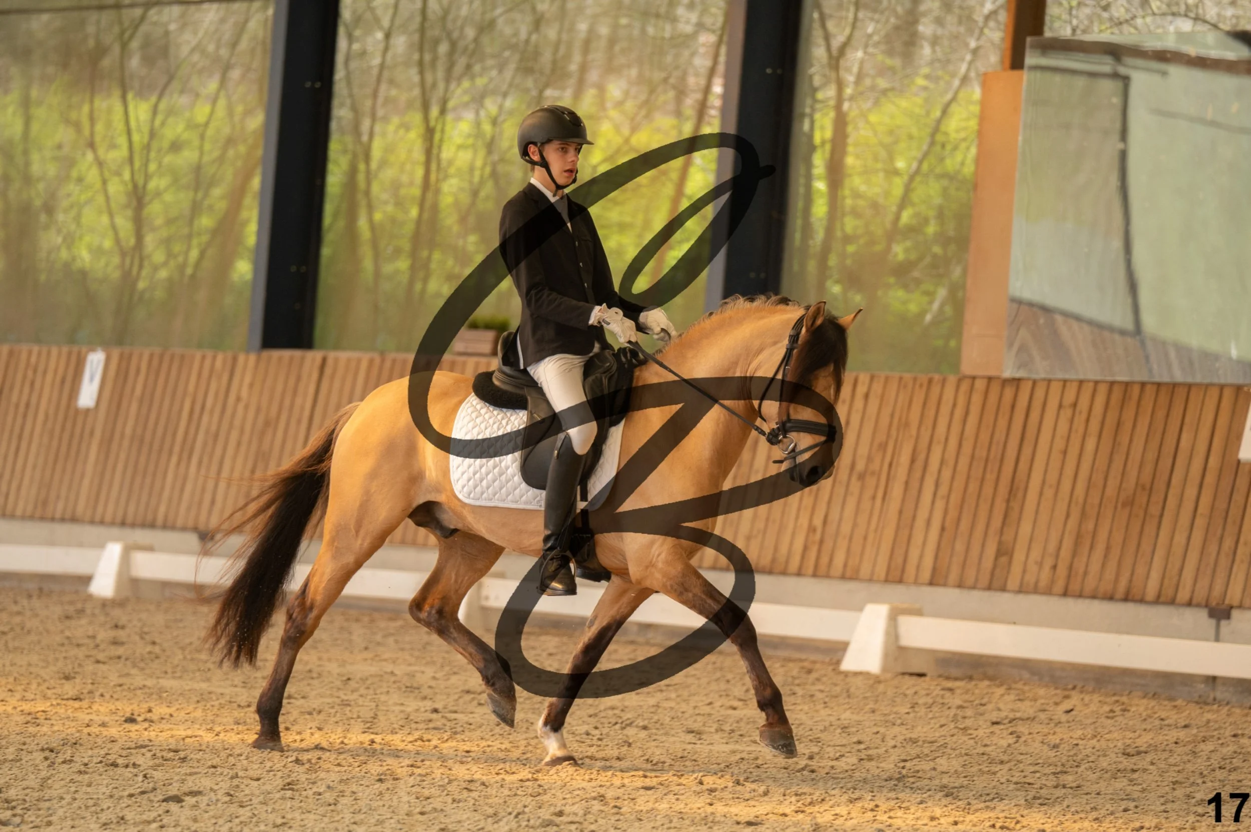 2026.03.22 - Niv3 - Pony individual test-17.jpg