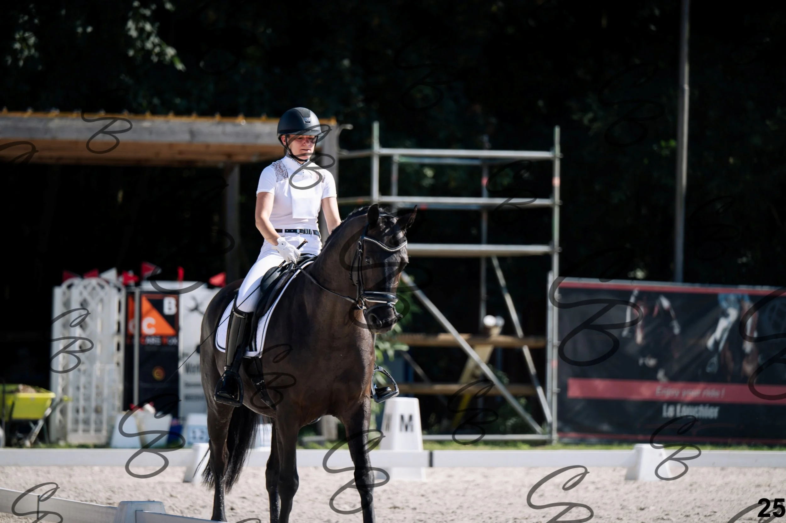 2026.07.12 - Jeunes chevaux - FEI 5YH Preliminary Test-25.jpg
