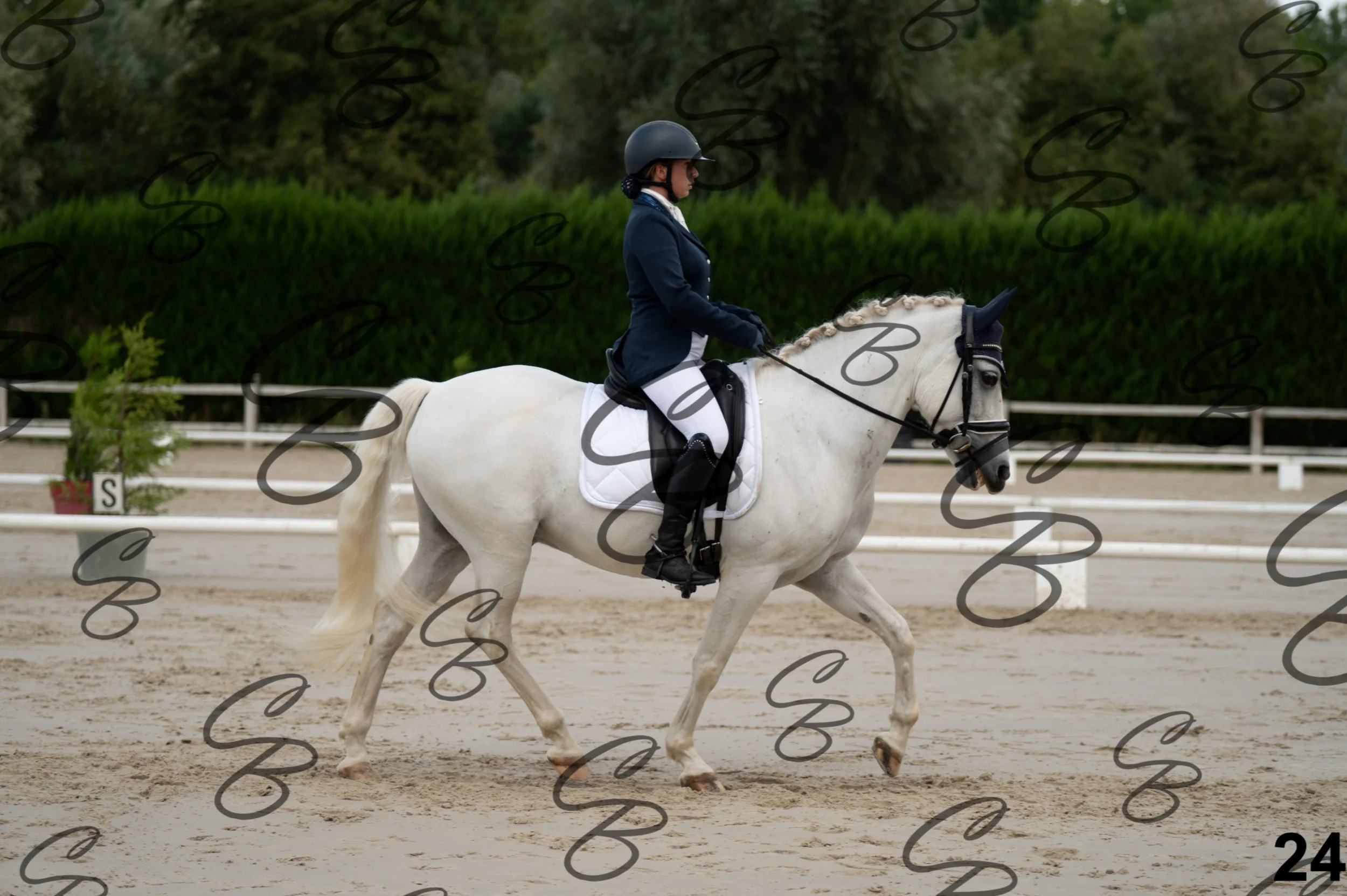 2026.09.20 - Johanna-24.jpg