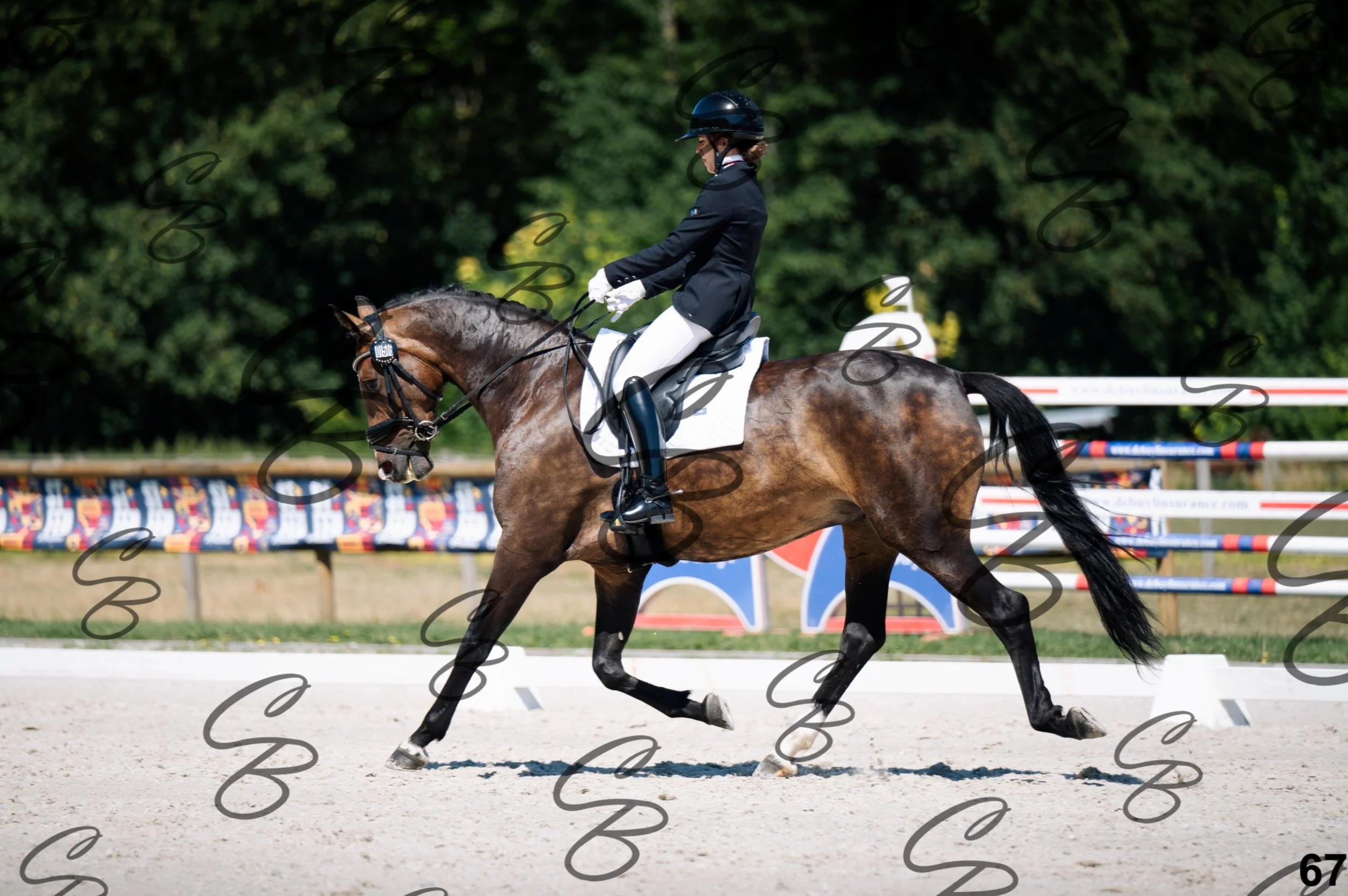 2026.07.12 - Niveau 4 - N4.3-67.jpg