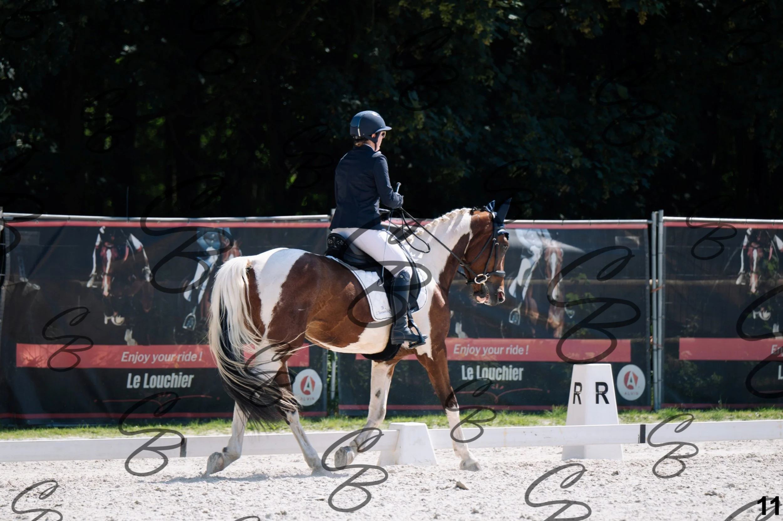 2026.07.12 - Jeunes chevaux - FEI 4YH Final Test-11.jpg