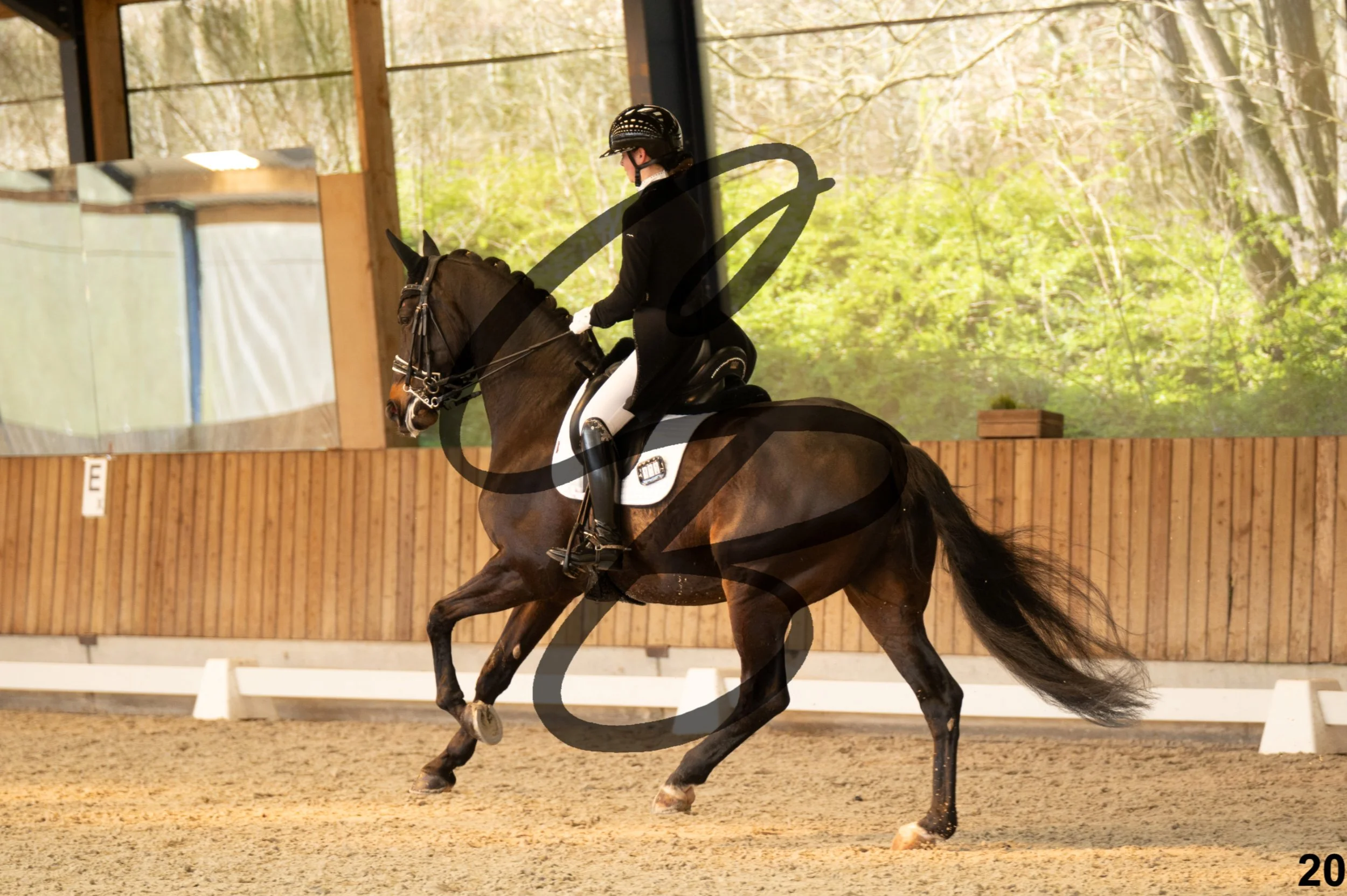 2026.03.22 - Niv5 - Young rider team-20.jpg