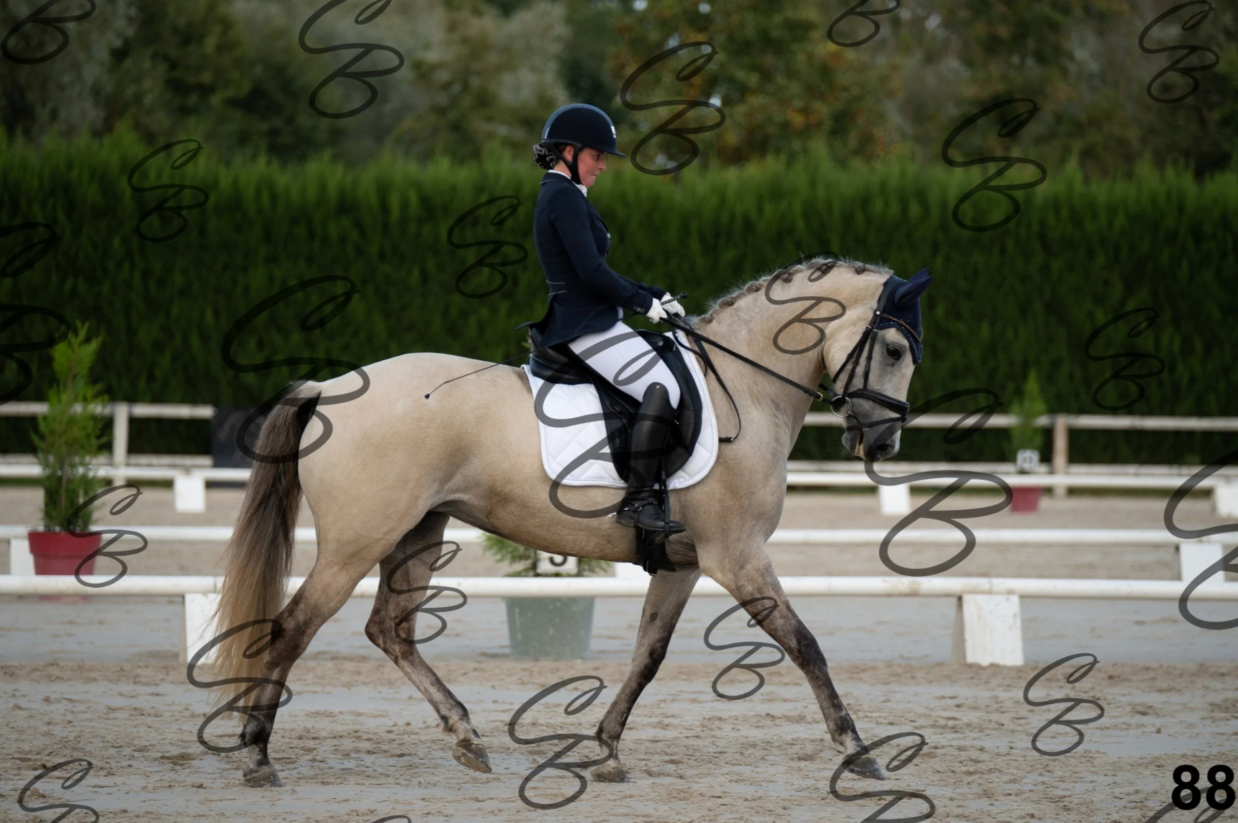 2026.09.20 - Djessy-88.jpg