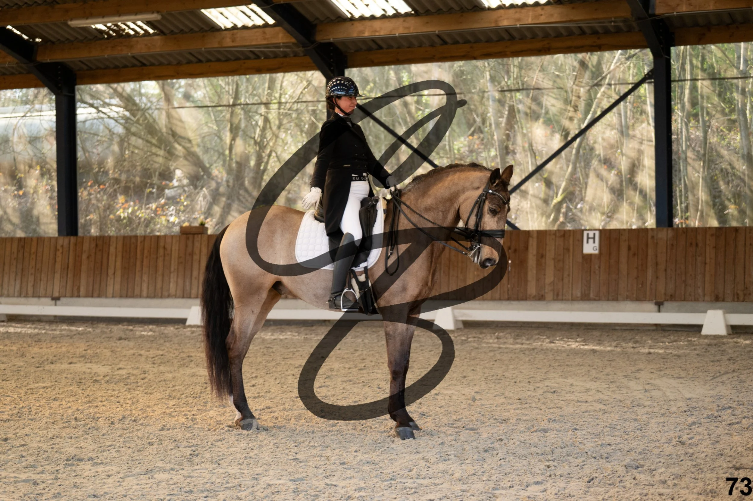 2026.03.22 - grand prix-73.jpg