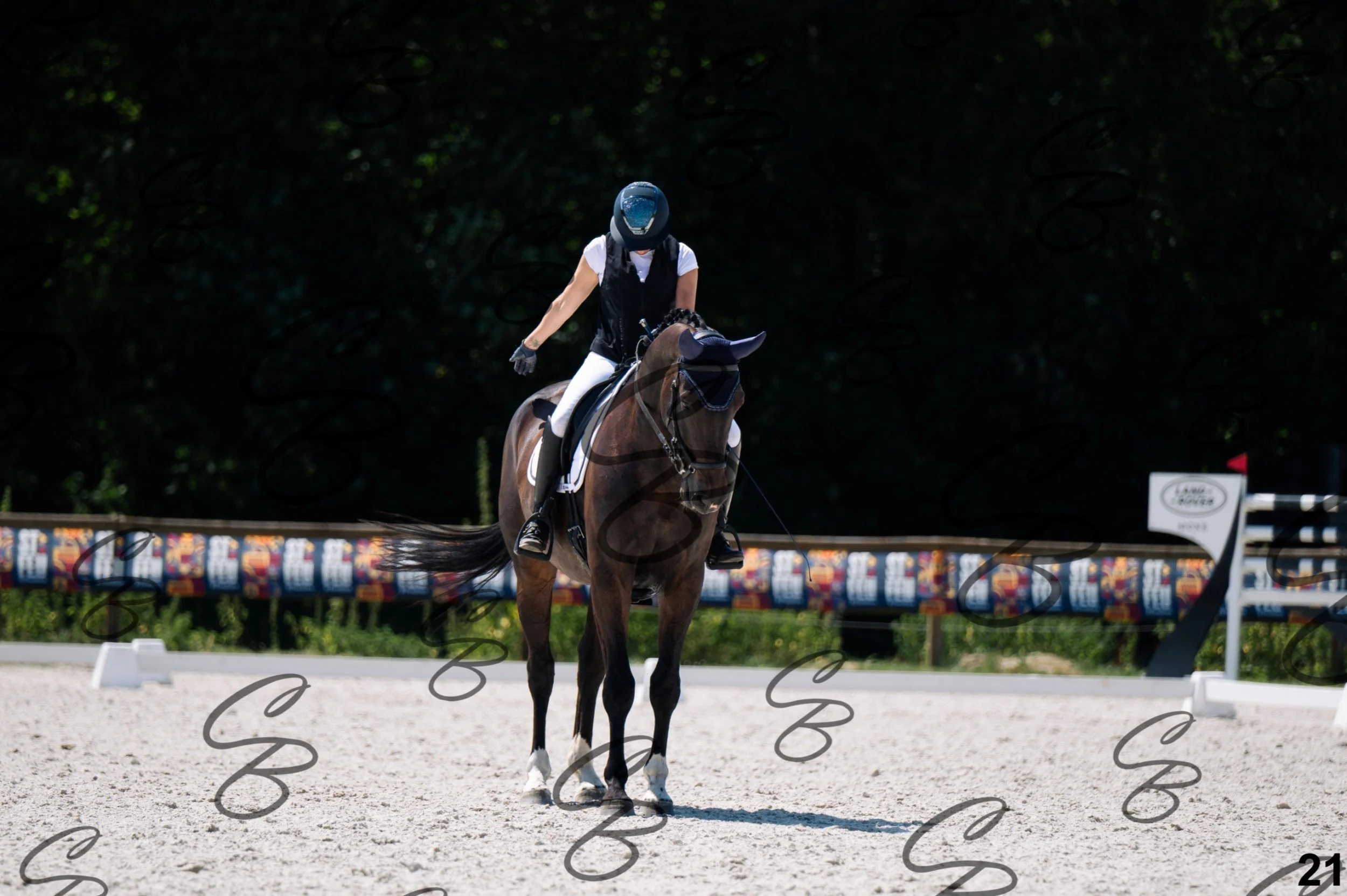 2026.07.12 - Niveau 2 - N2.4-21.jpg