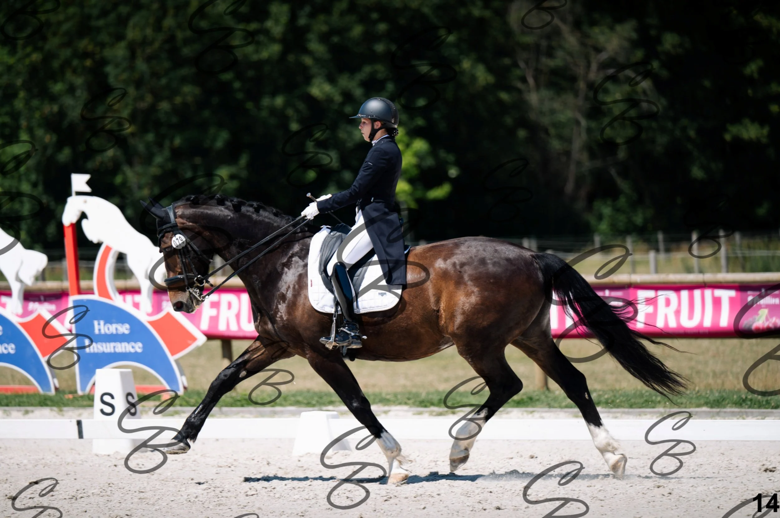 2026.07.12 - Niveau 5 - S3-14.jpg