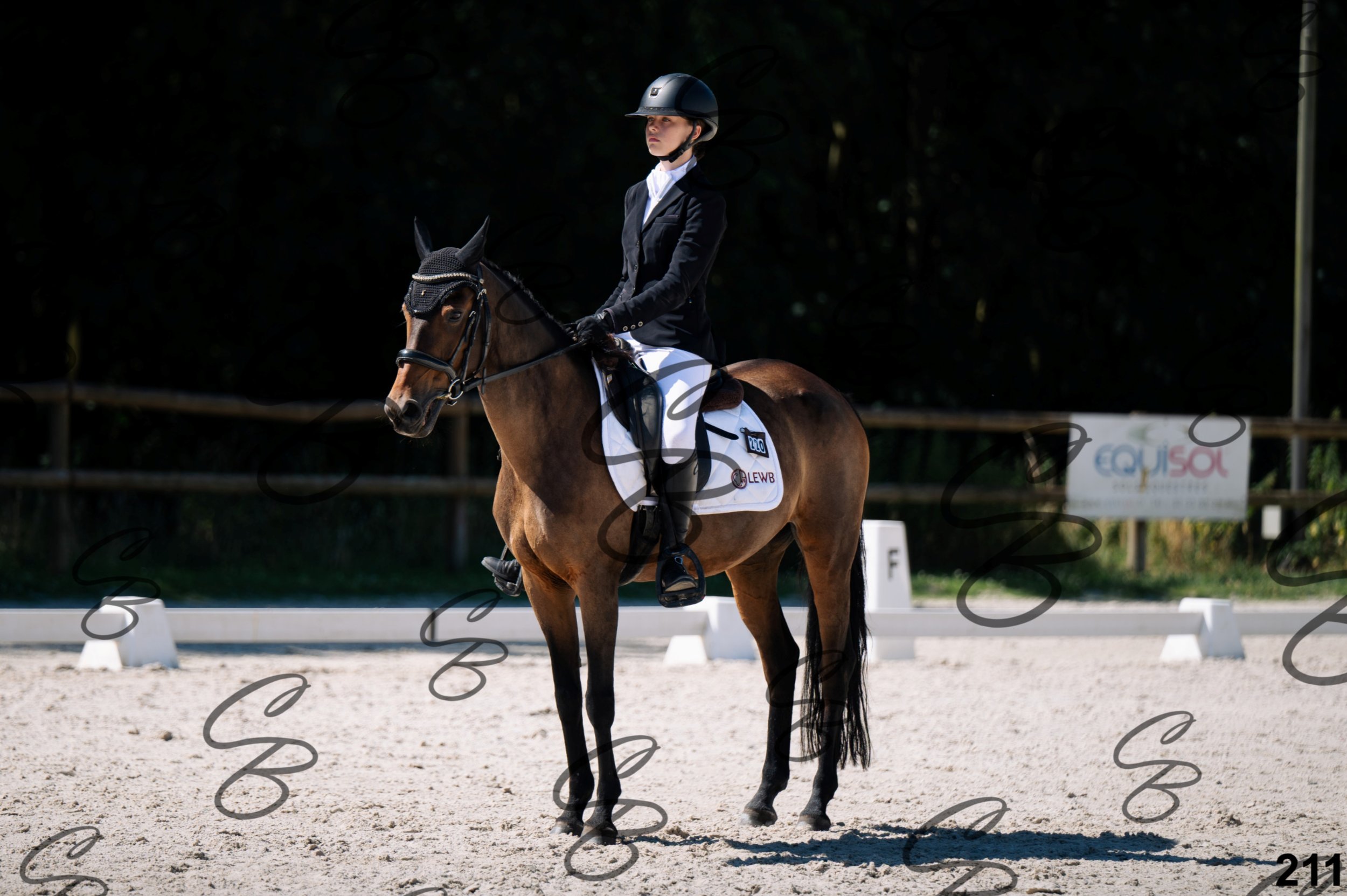 2026.07.12 -106 Niveau Initiation Poneys - Ini.6-28.jpg