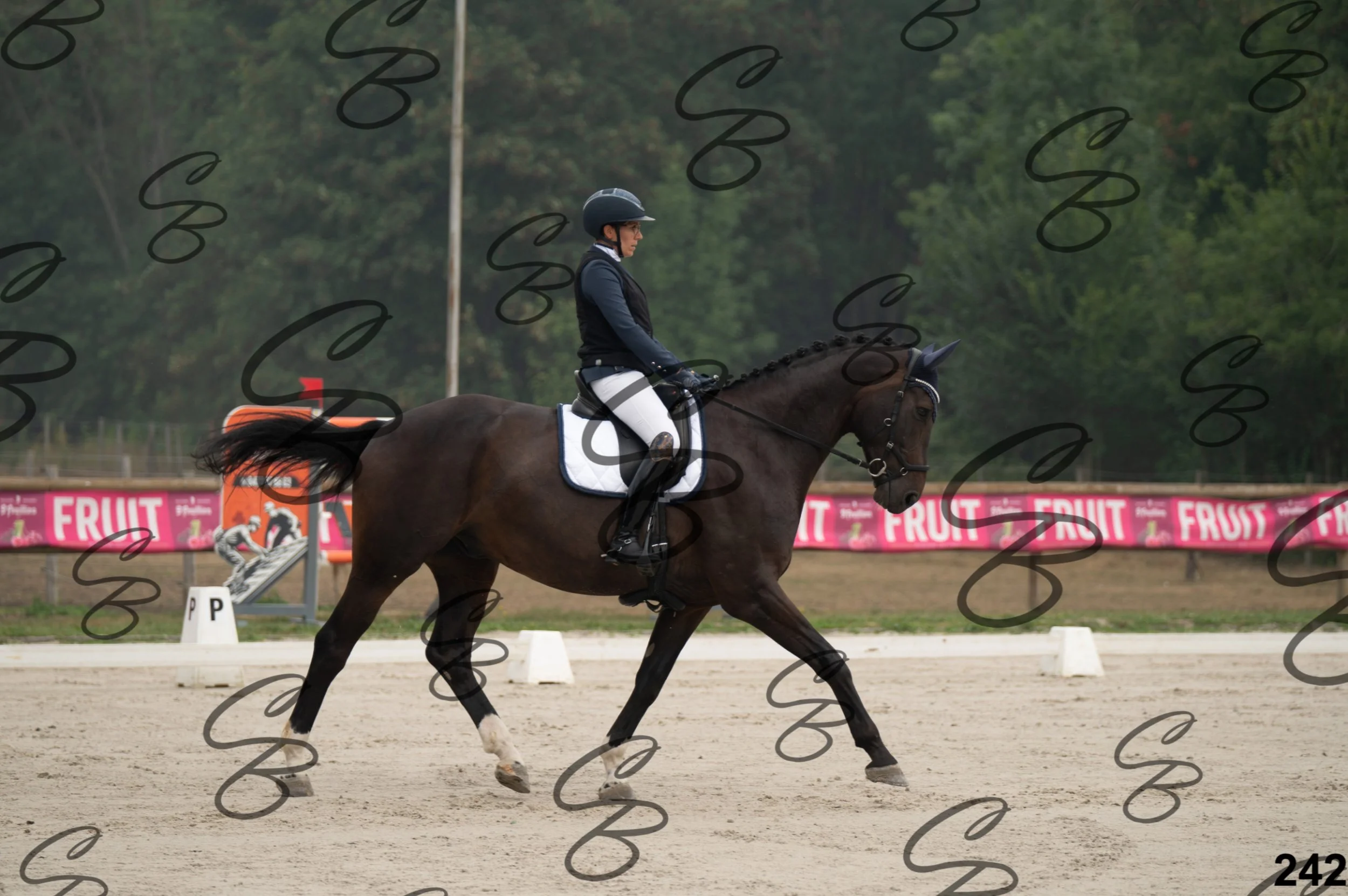 2026.08.15 - Louchier - GHO-347.jpg