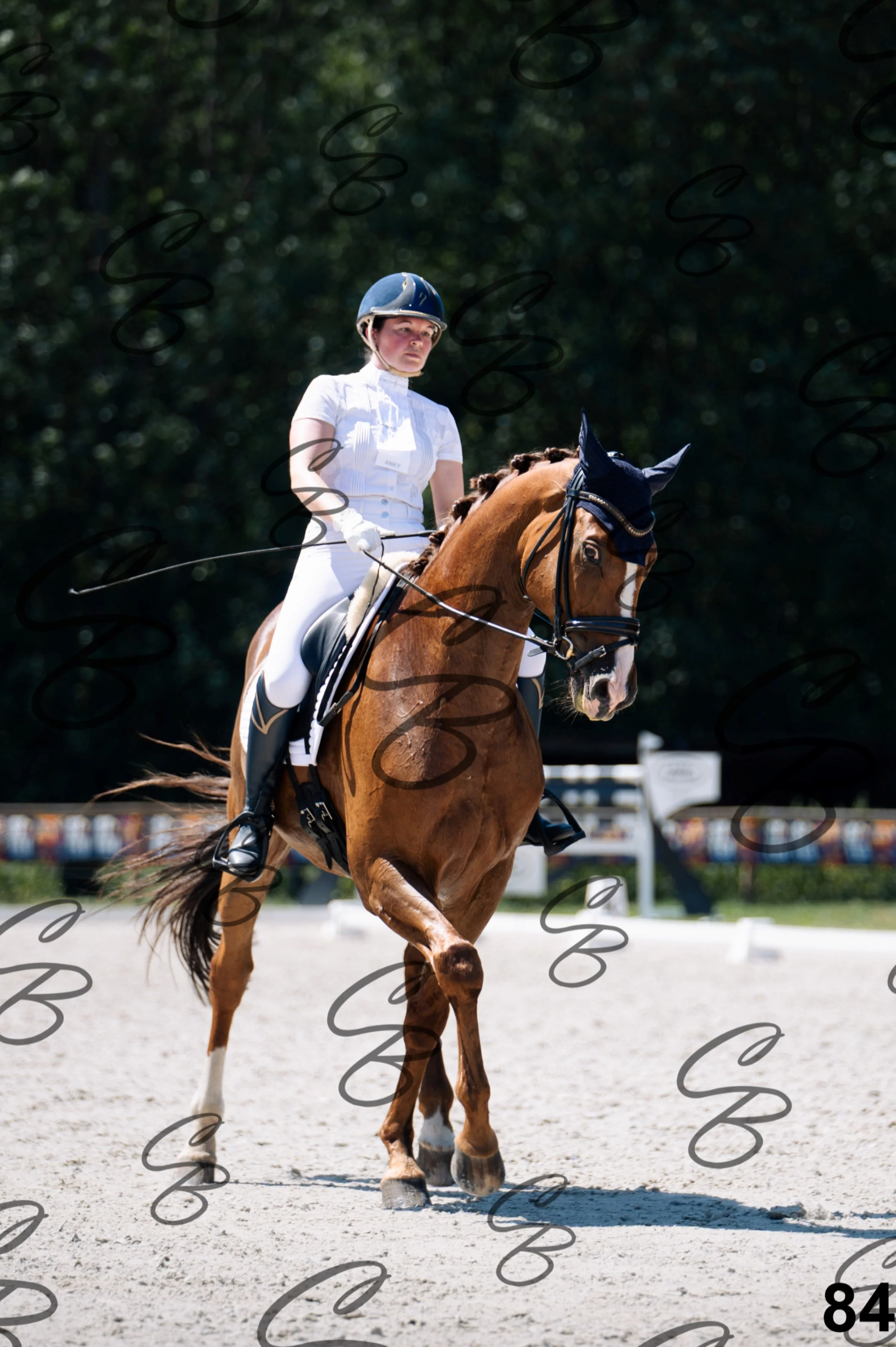 2026.07.12 - Niveau 5 - S3-84.jpg