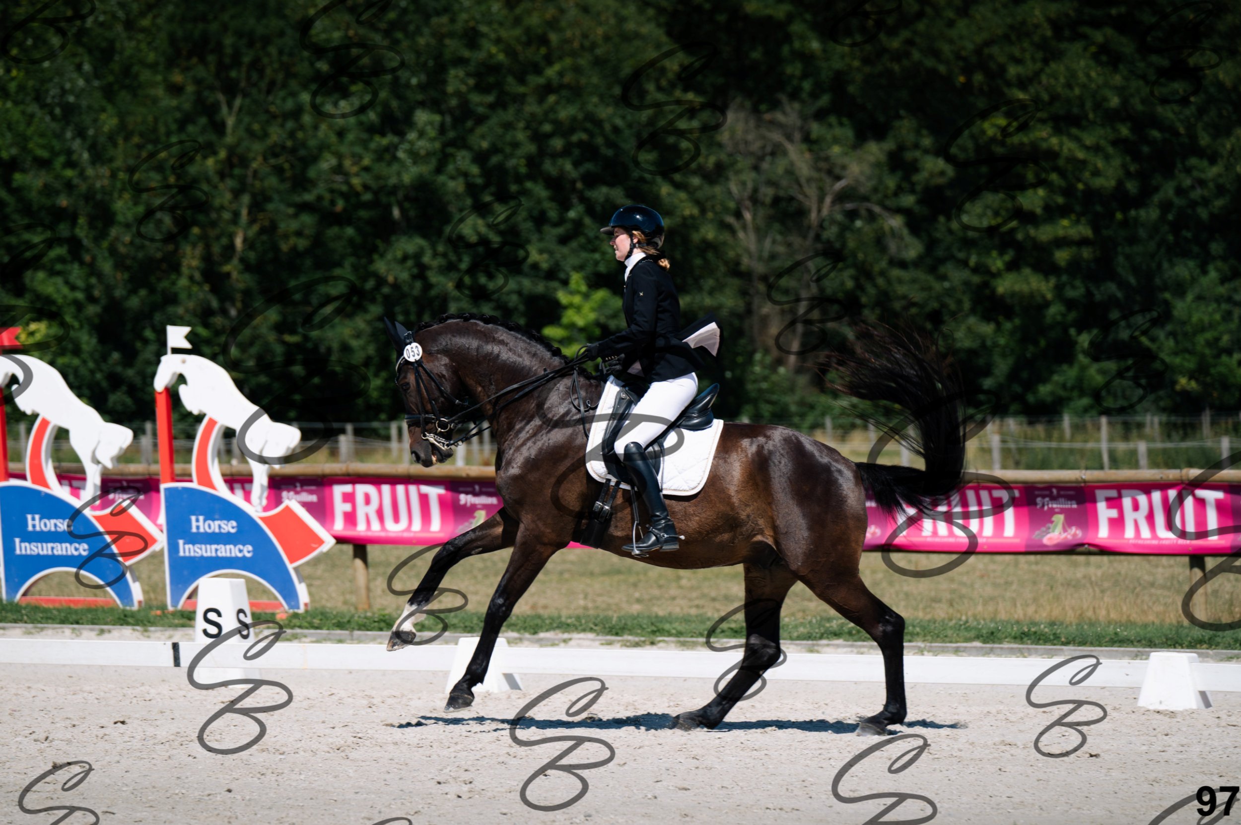 2026.07.12 - Niveau 4 - N4.3-97.jpg