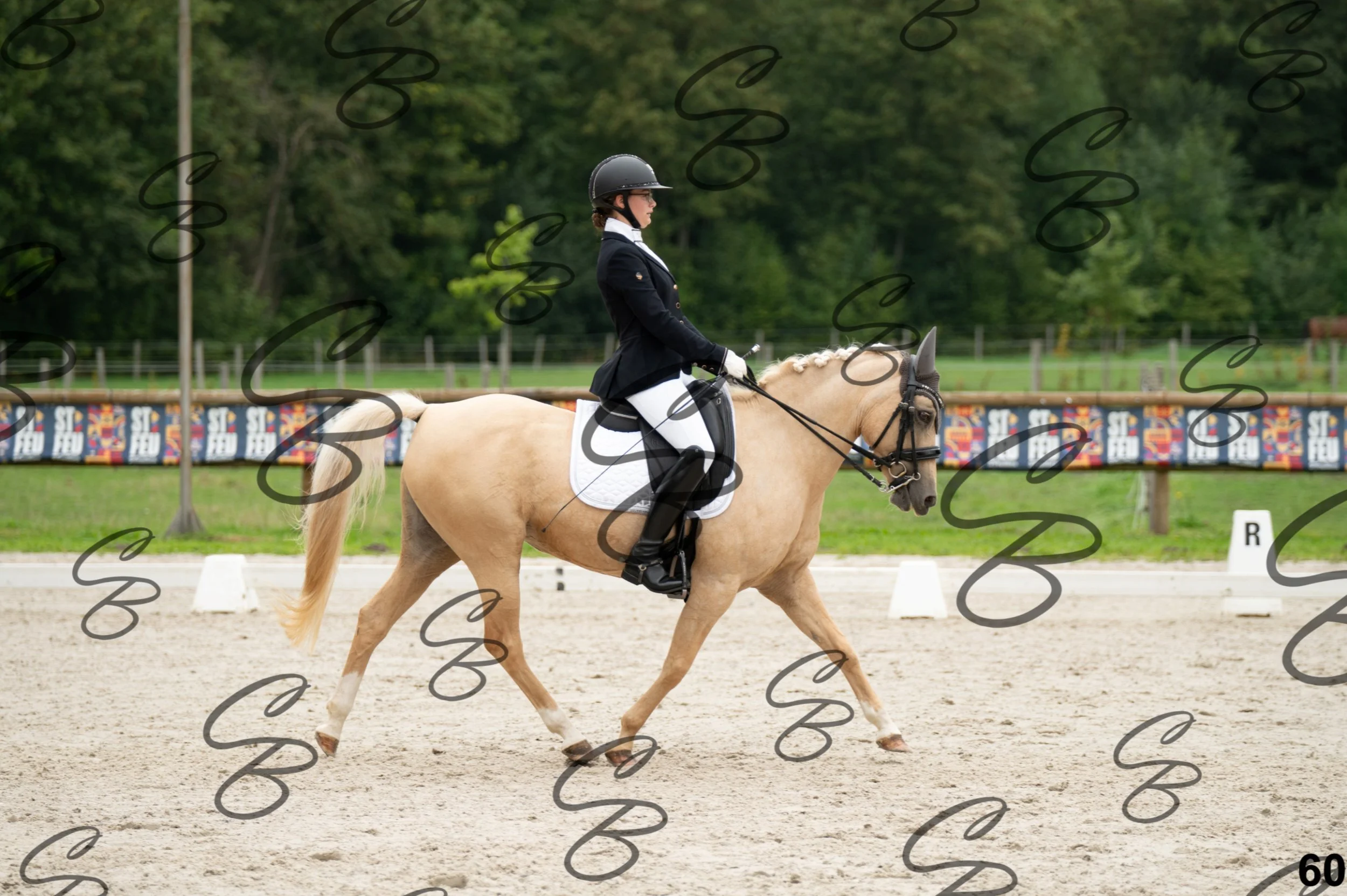 2026.09.13 - Alyssia-60.jpg