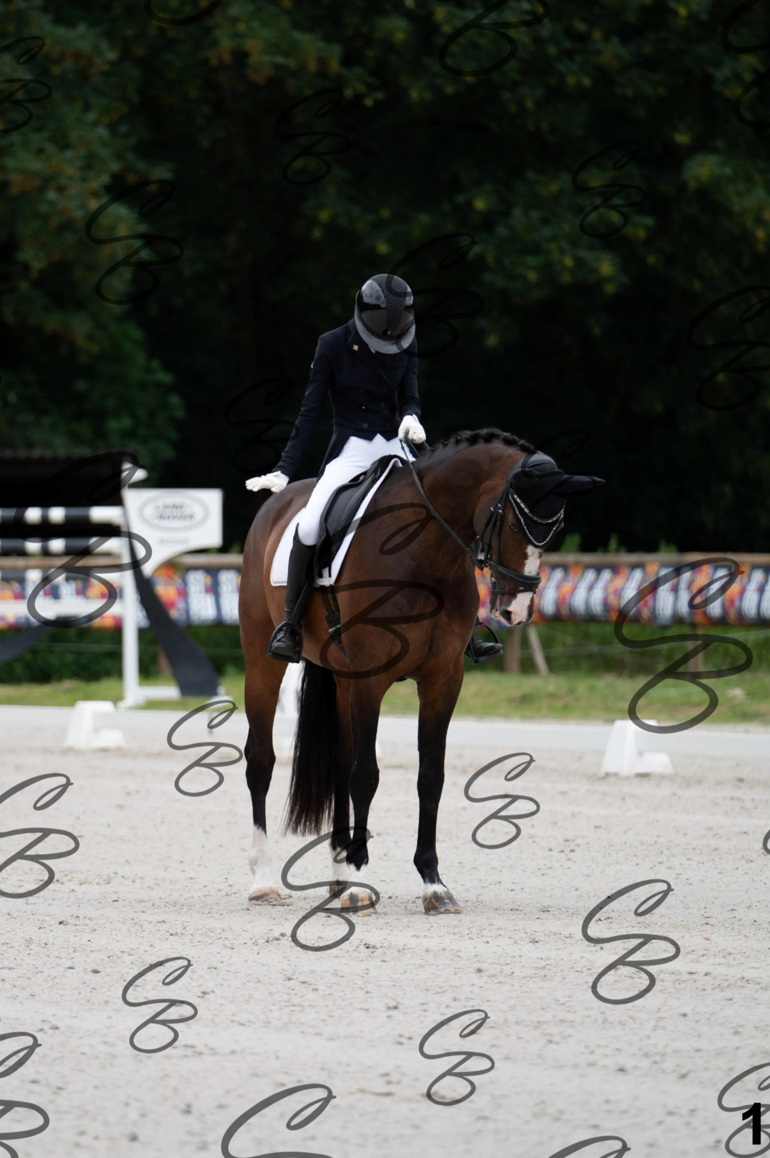 2026.07.04 - Jolien Berckmans-1.jpg