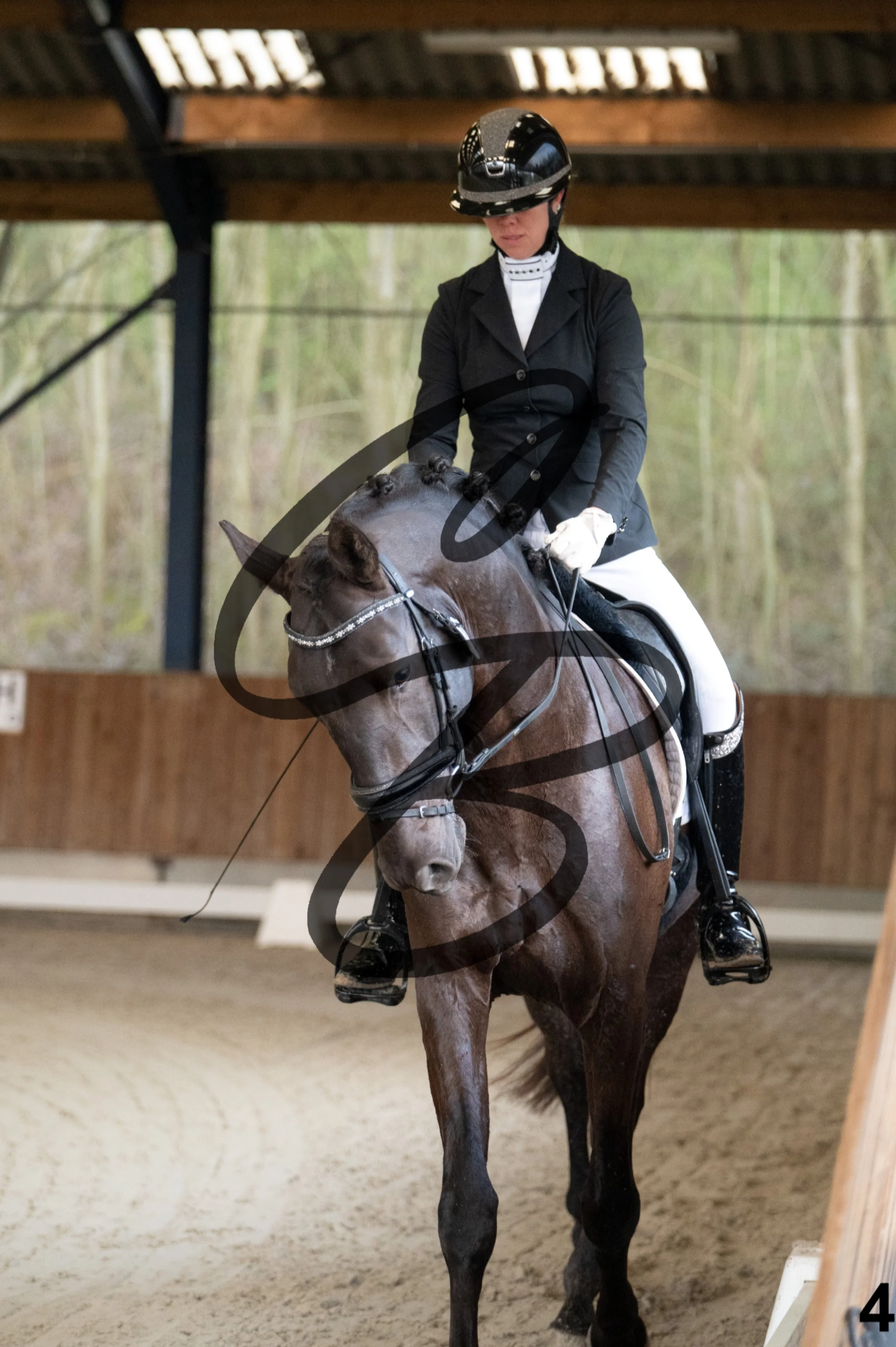 2026.03.22 - jeunes chevaux - 4 ans-4.jpg