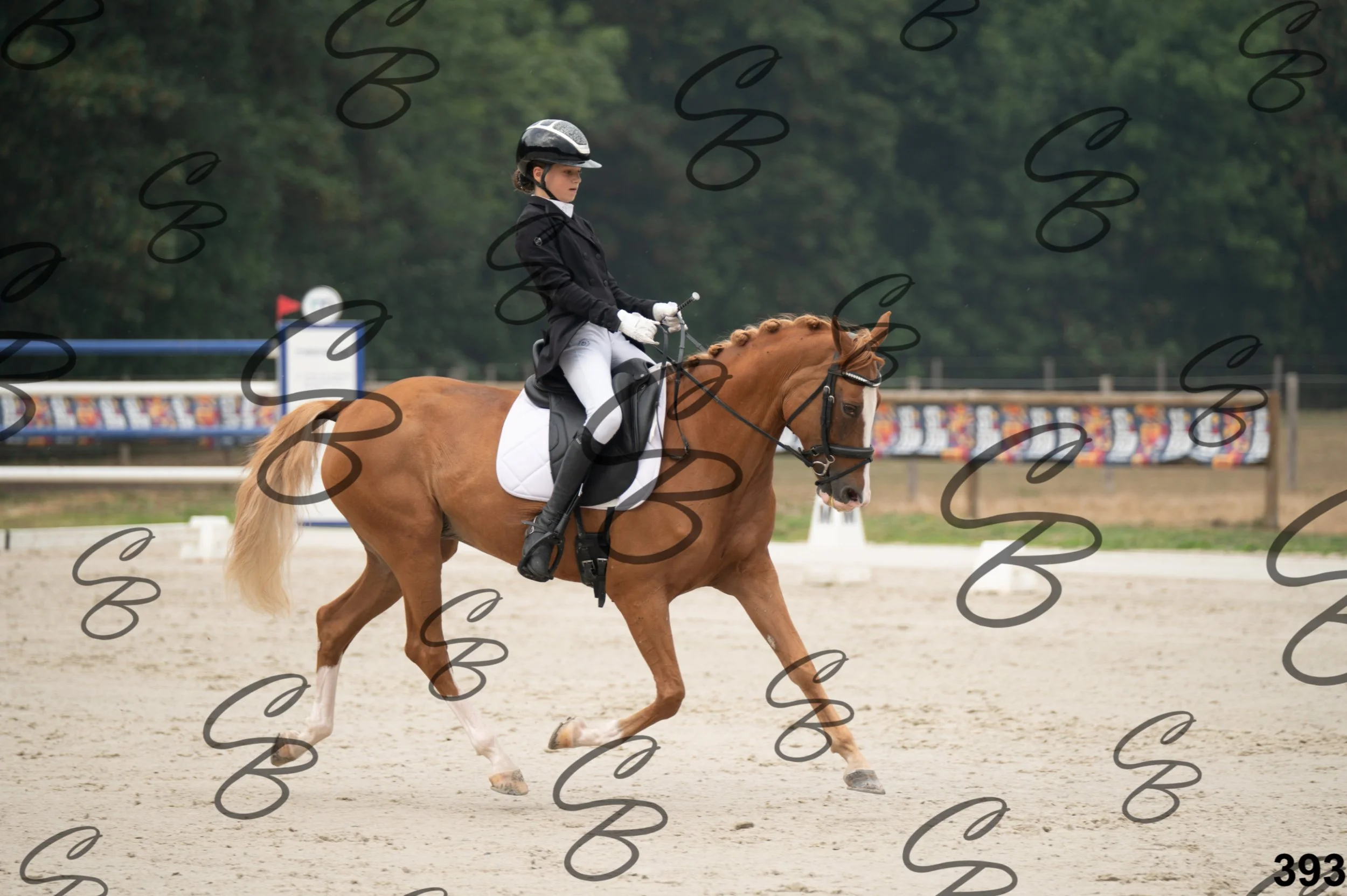 2026.08.15 - Louchier - GHO-579.jpg