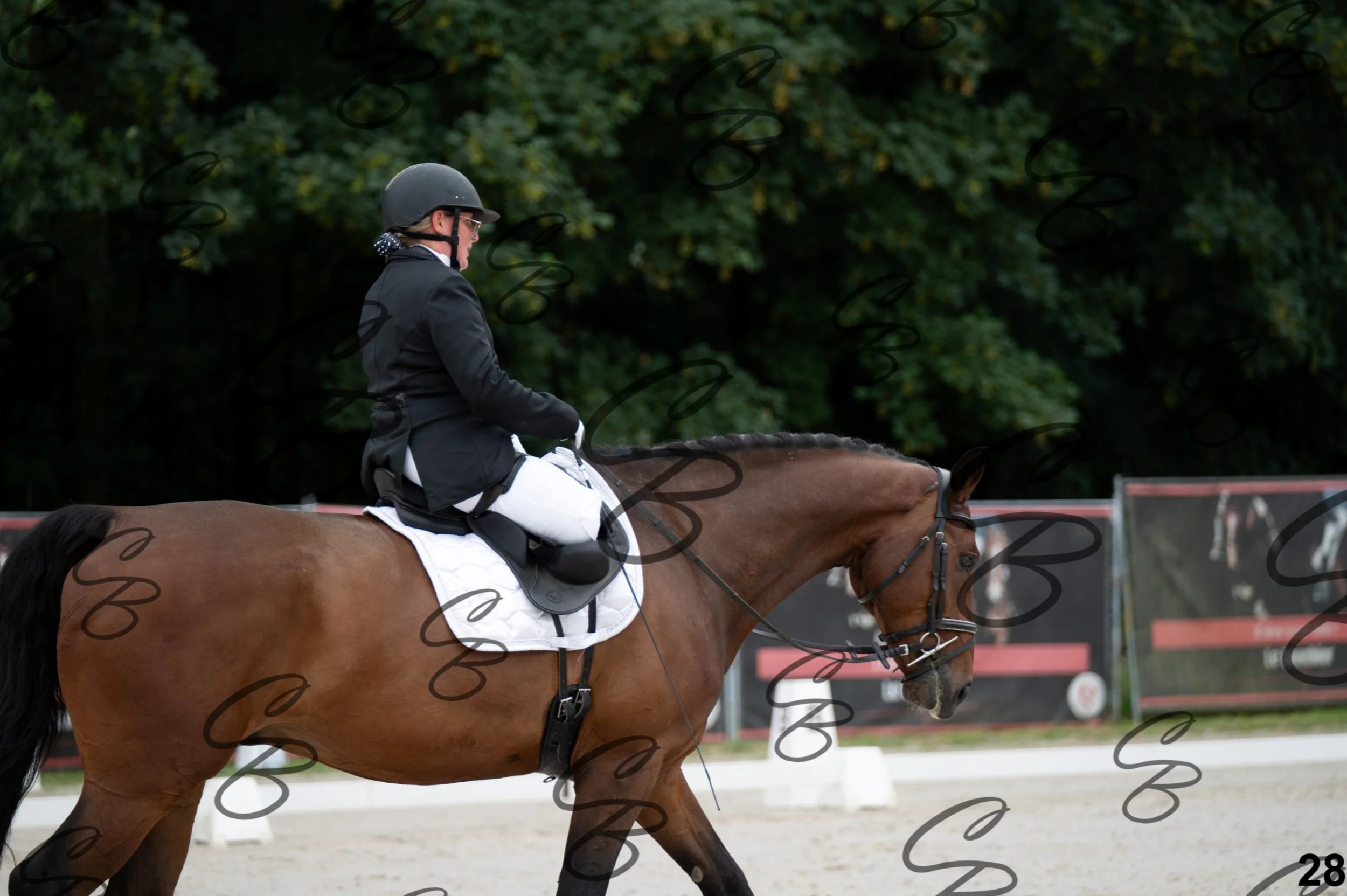2026.07.04 - Emeline parmentier-17.jpg