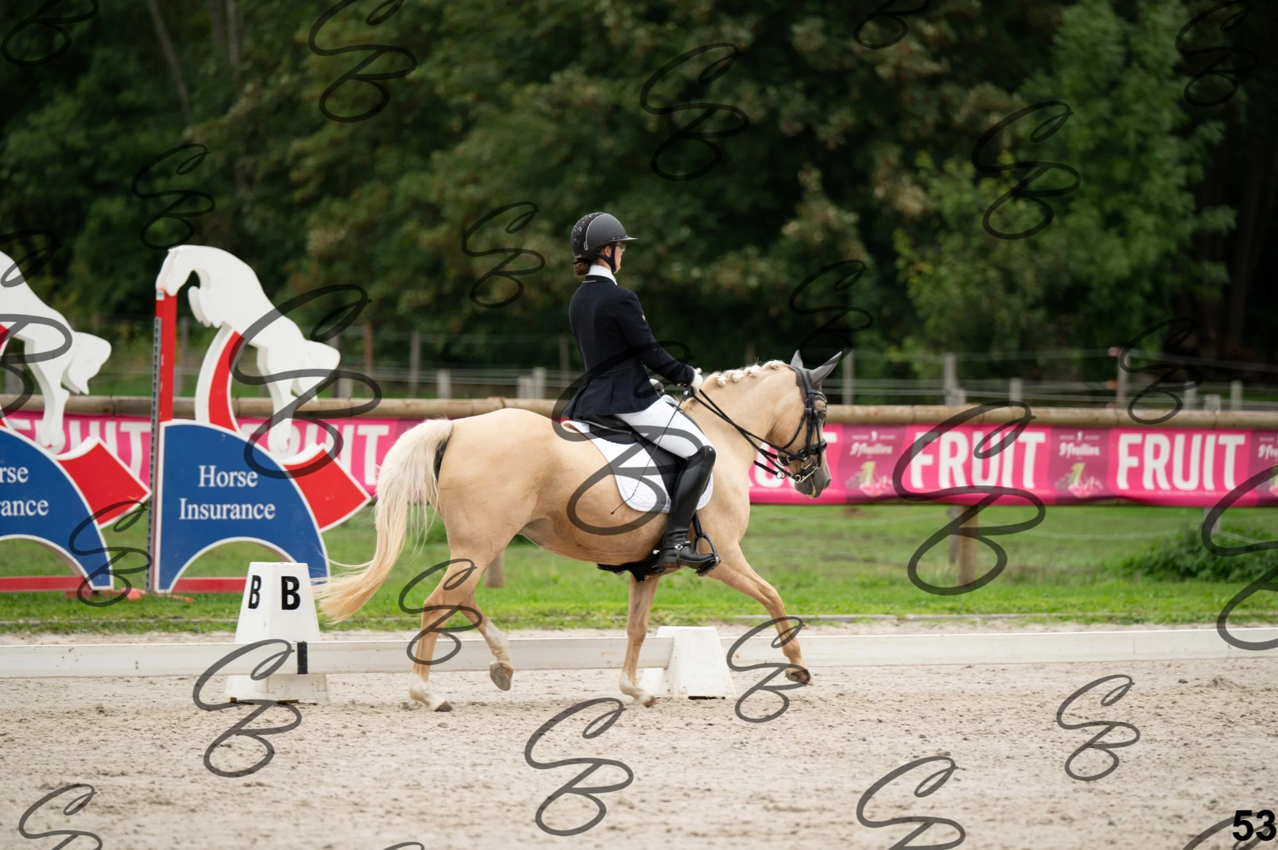 2026.09.13 - Alyssia-53.jpg
