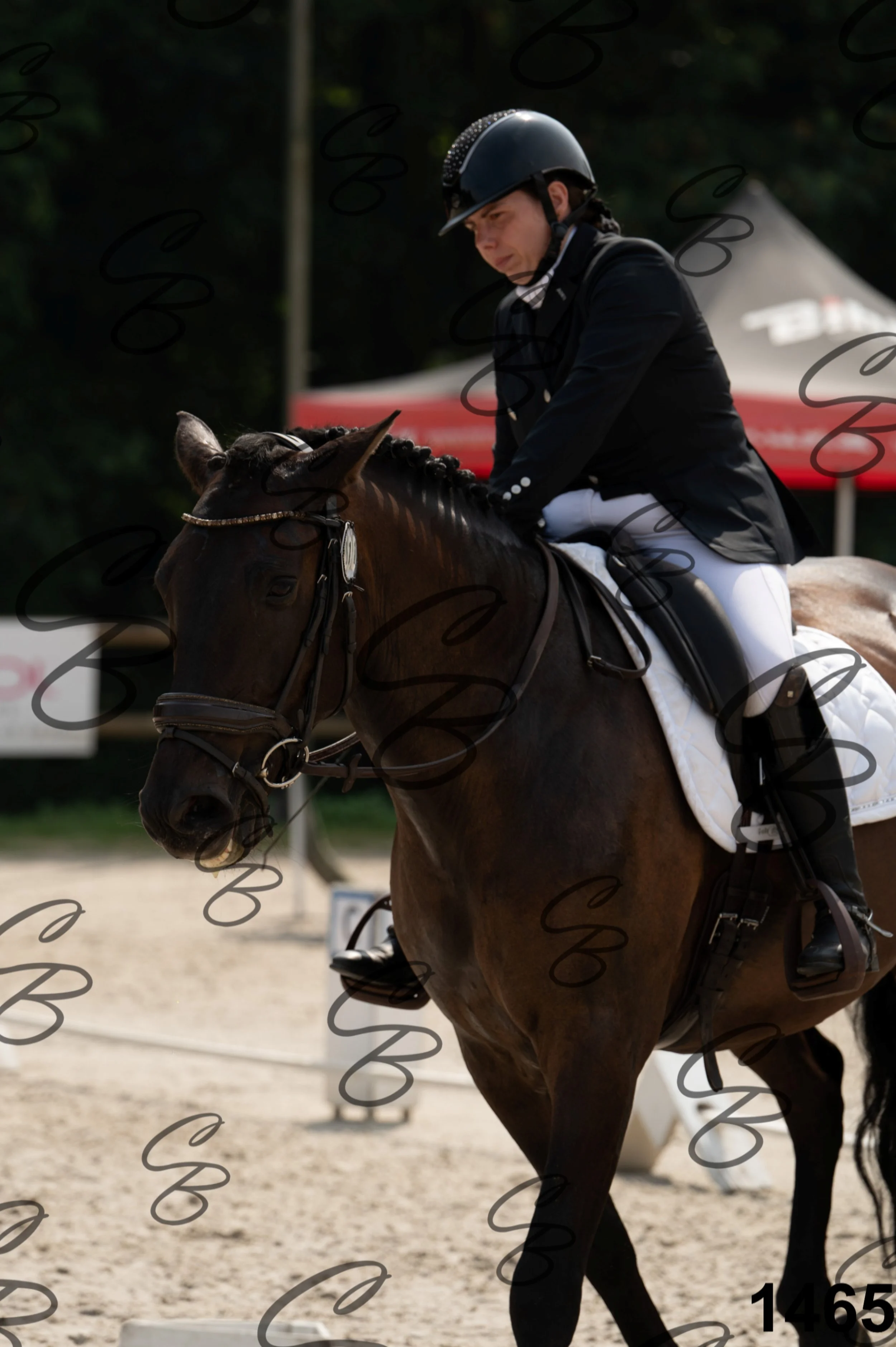 2026.08.15 - Louchier - GHO-1652.jpg