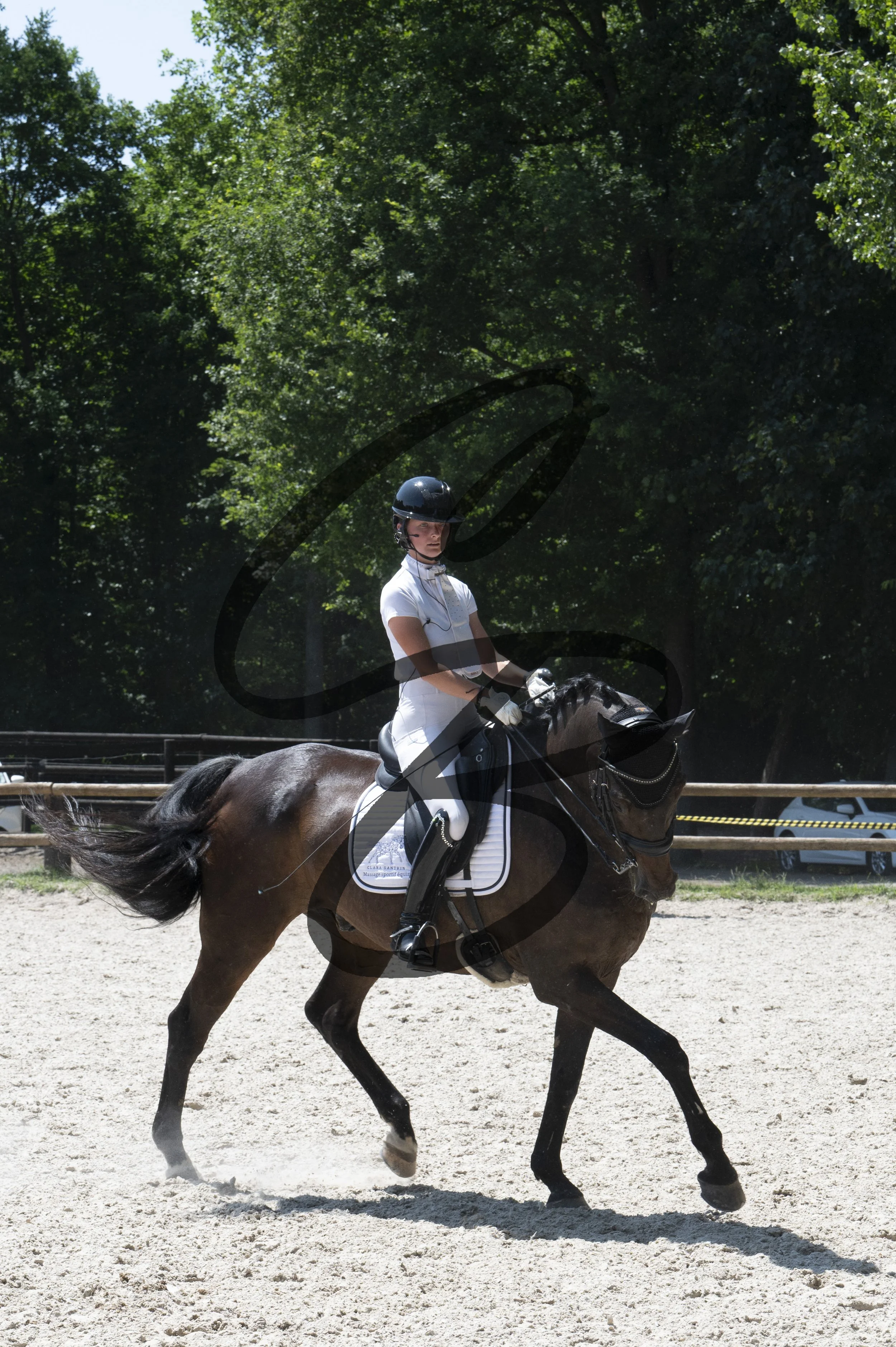 31
