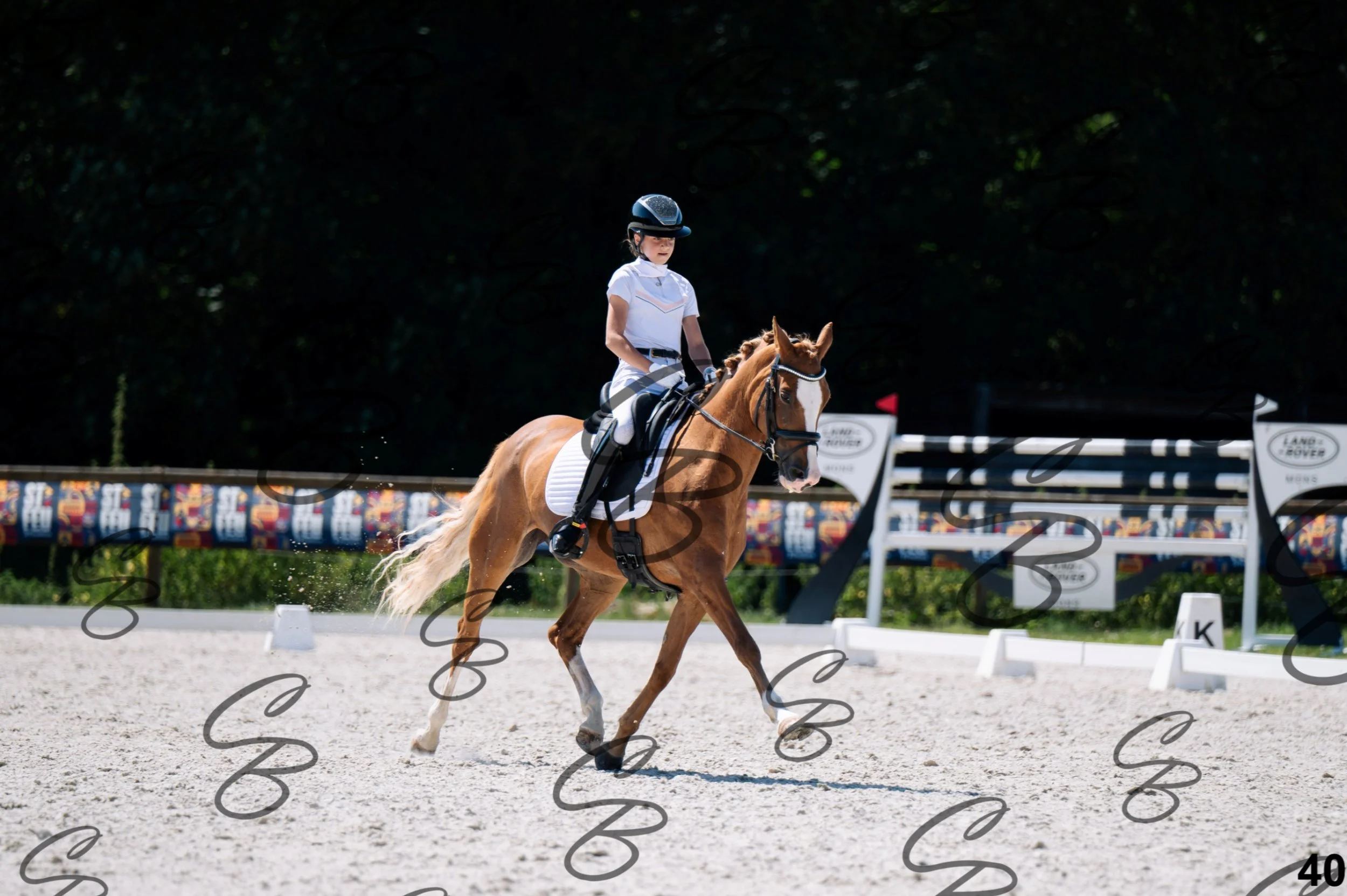 2026.07.12 - Niveau 2 - N2.4-40.jpg