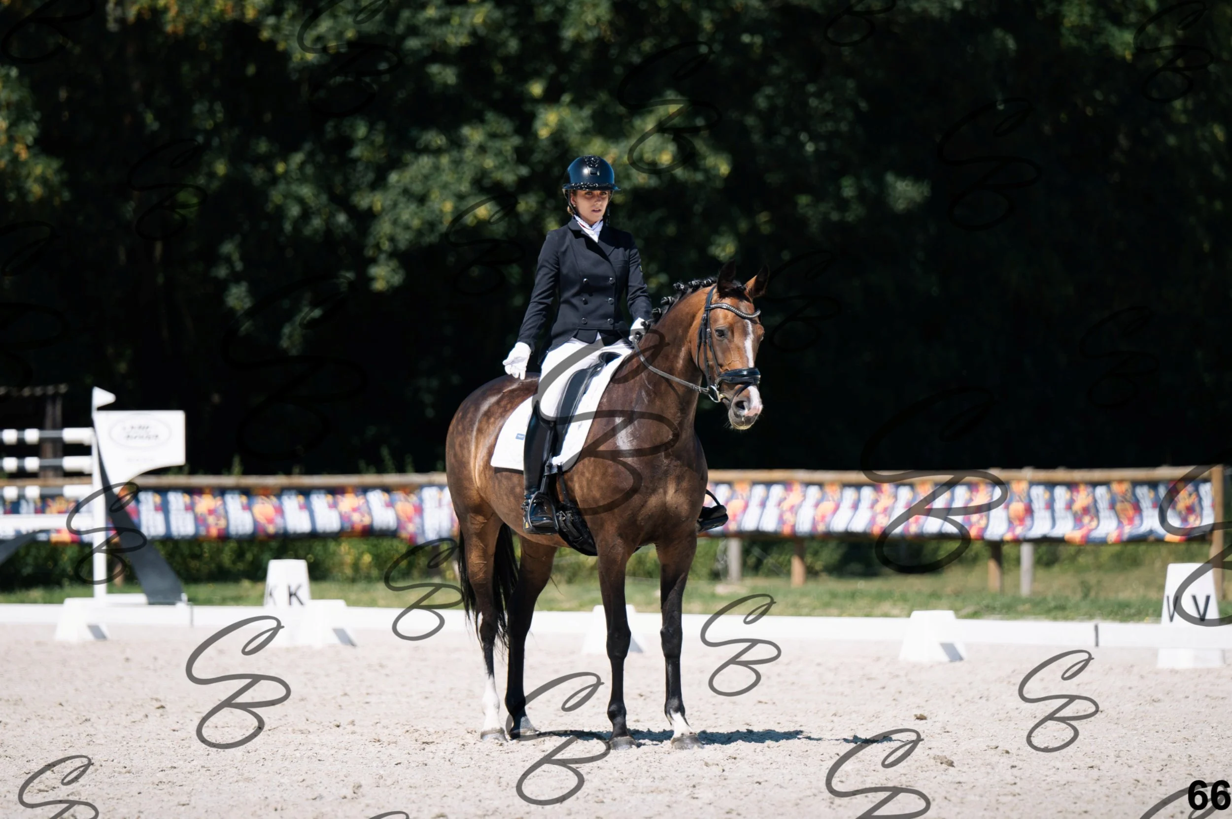2026.07.12 - Niveau 4 - N4.3-66.jpg