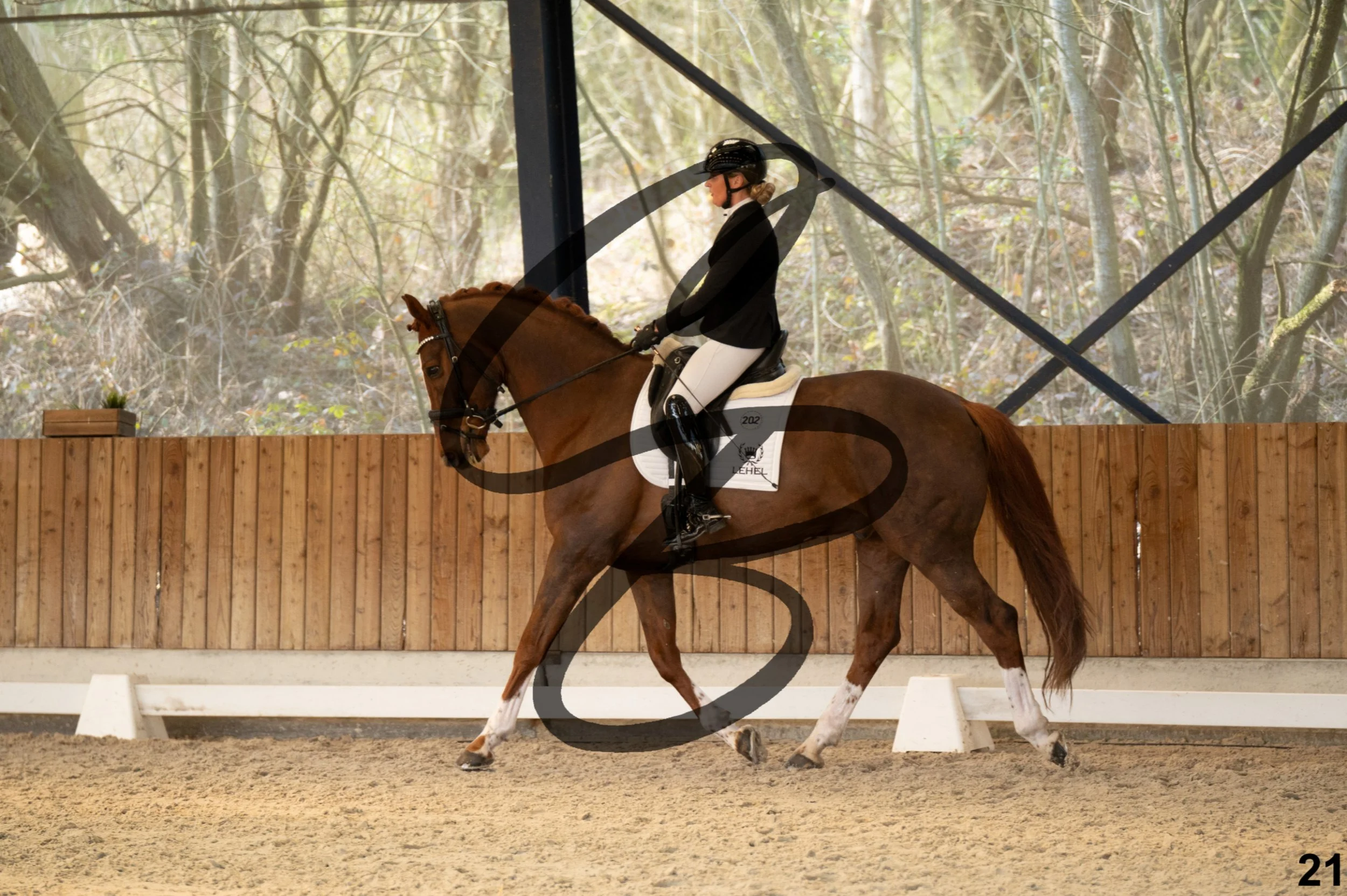 2026.03.22 - Grade 5 - grand prix test B-21.jpg