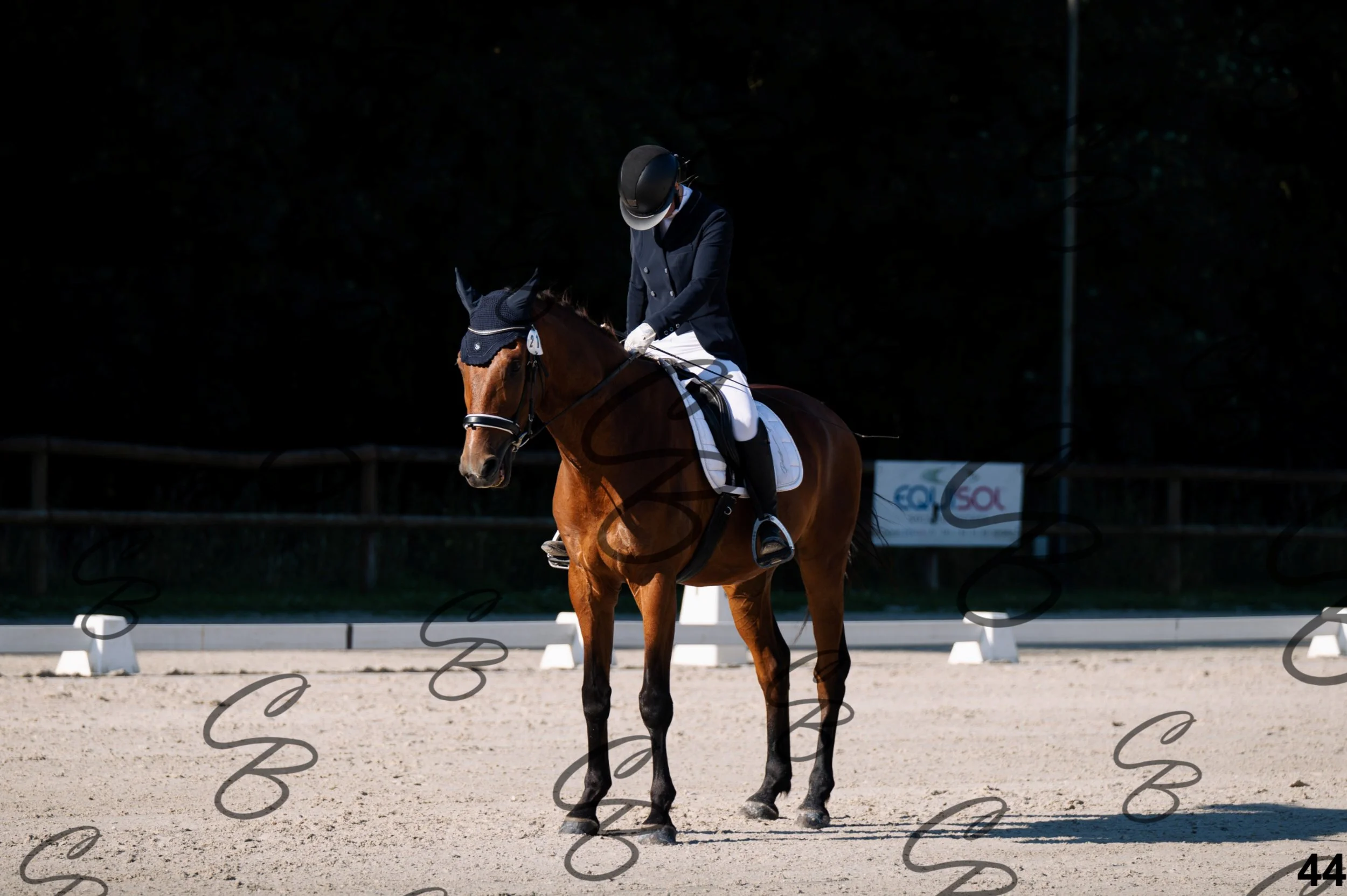 2026.07.12 - 103 Reprise Accueil-14.jpg