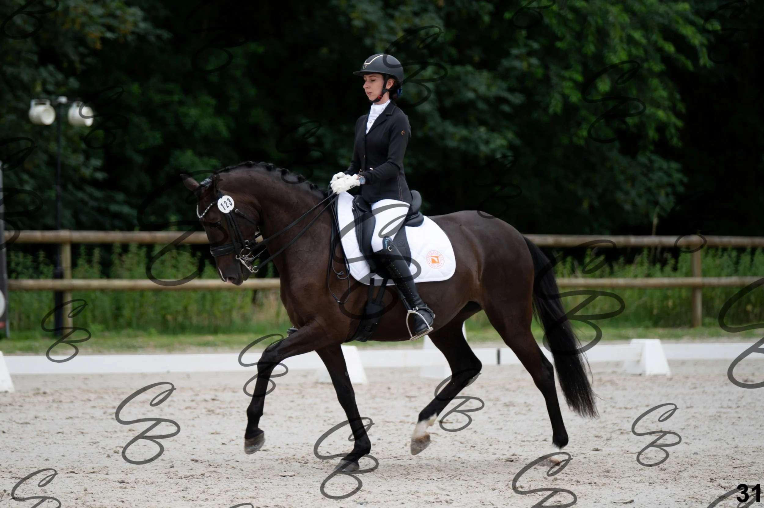 2026.07.04 - 4 Zazou De Page-5.jpg