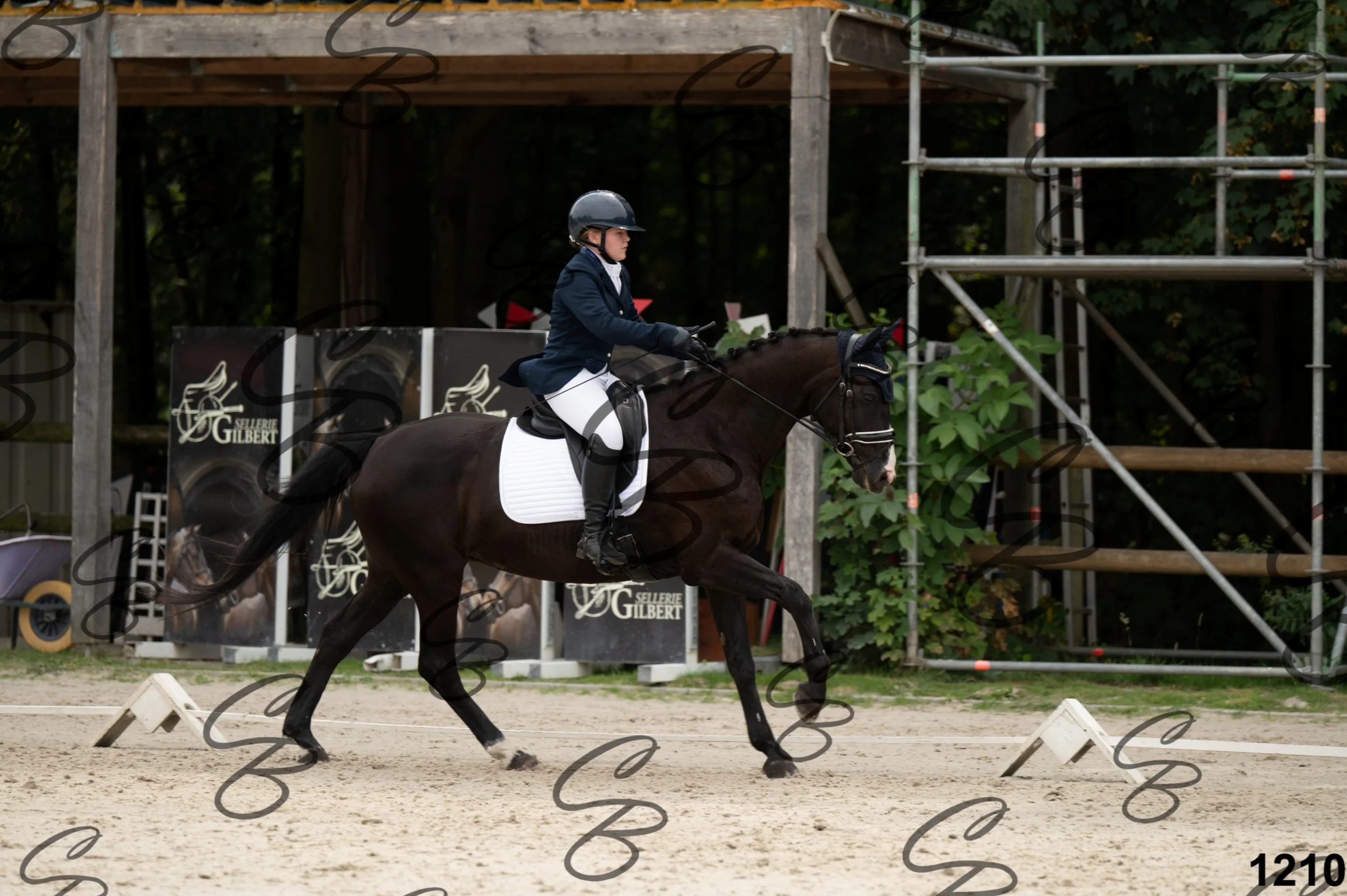 2026.08.16 - Louchier - GHO-227.jpg