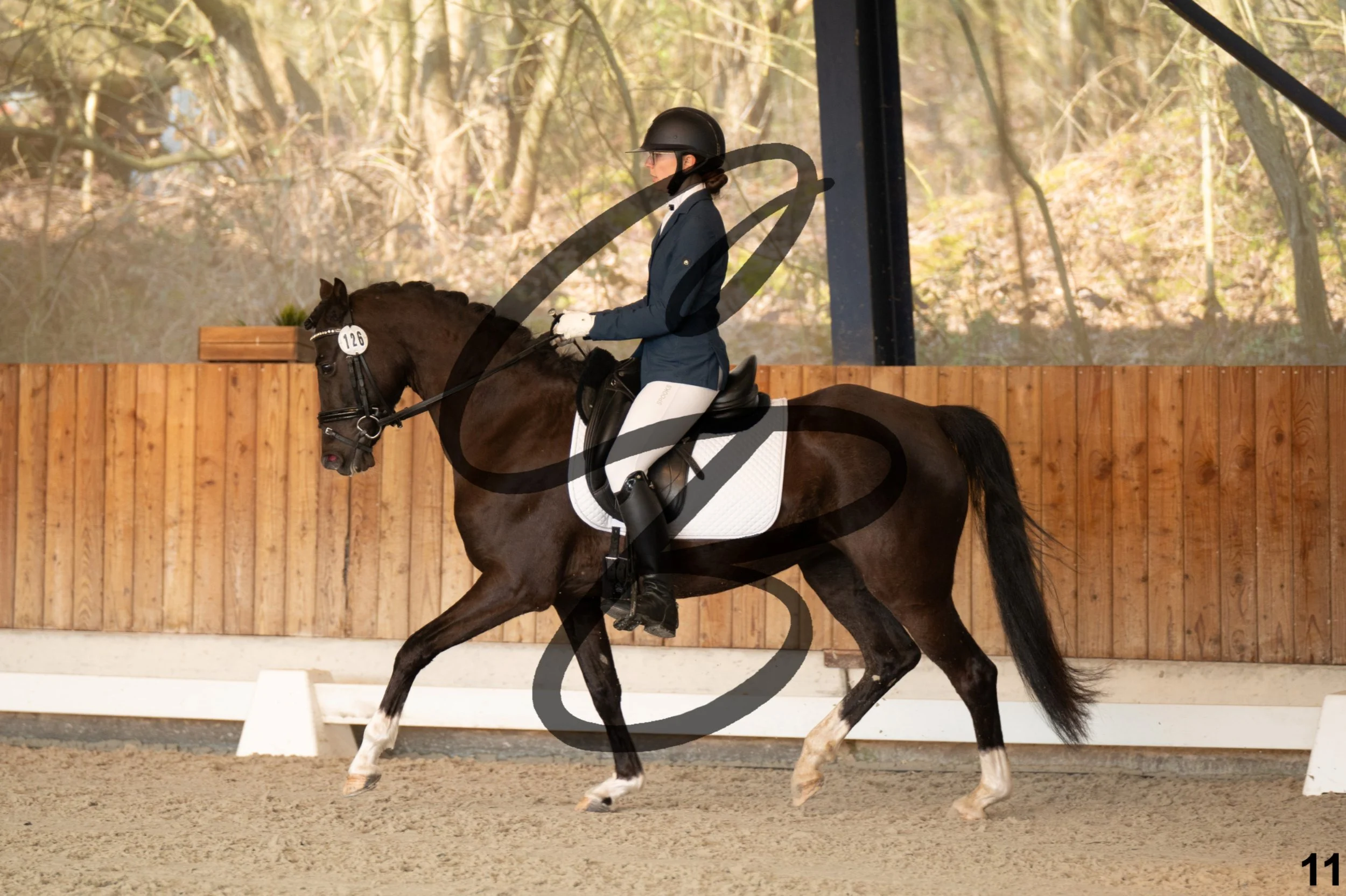 2026.03.22 - jeunes chevaux - 5ans - poneys-11.jpg