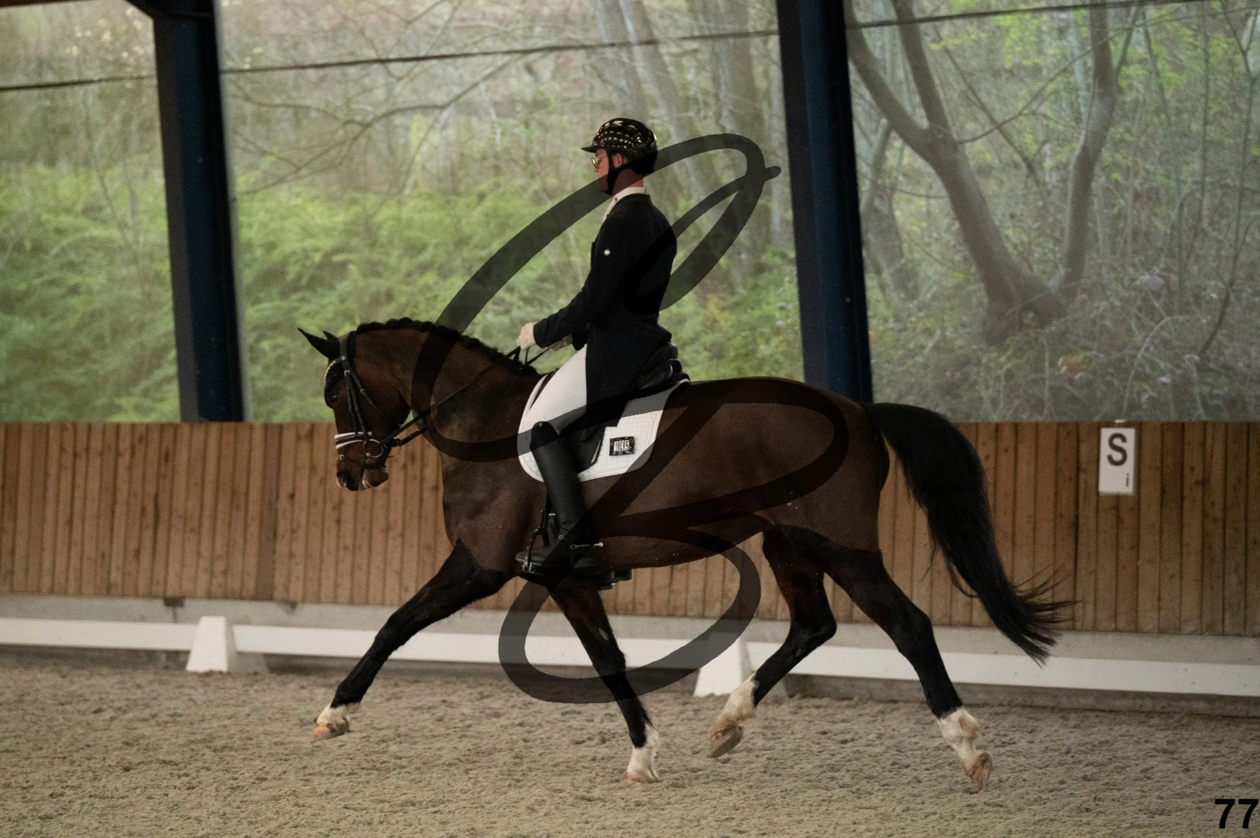 2026.03.22 - niv5 - saint georges-77.jpg