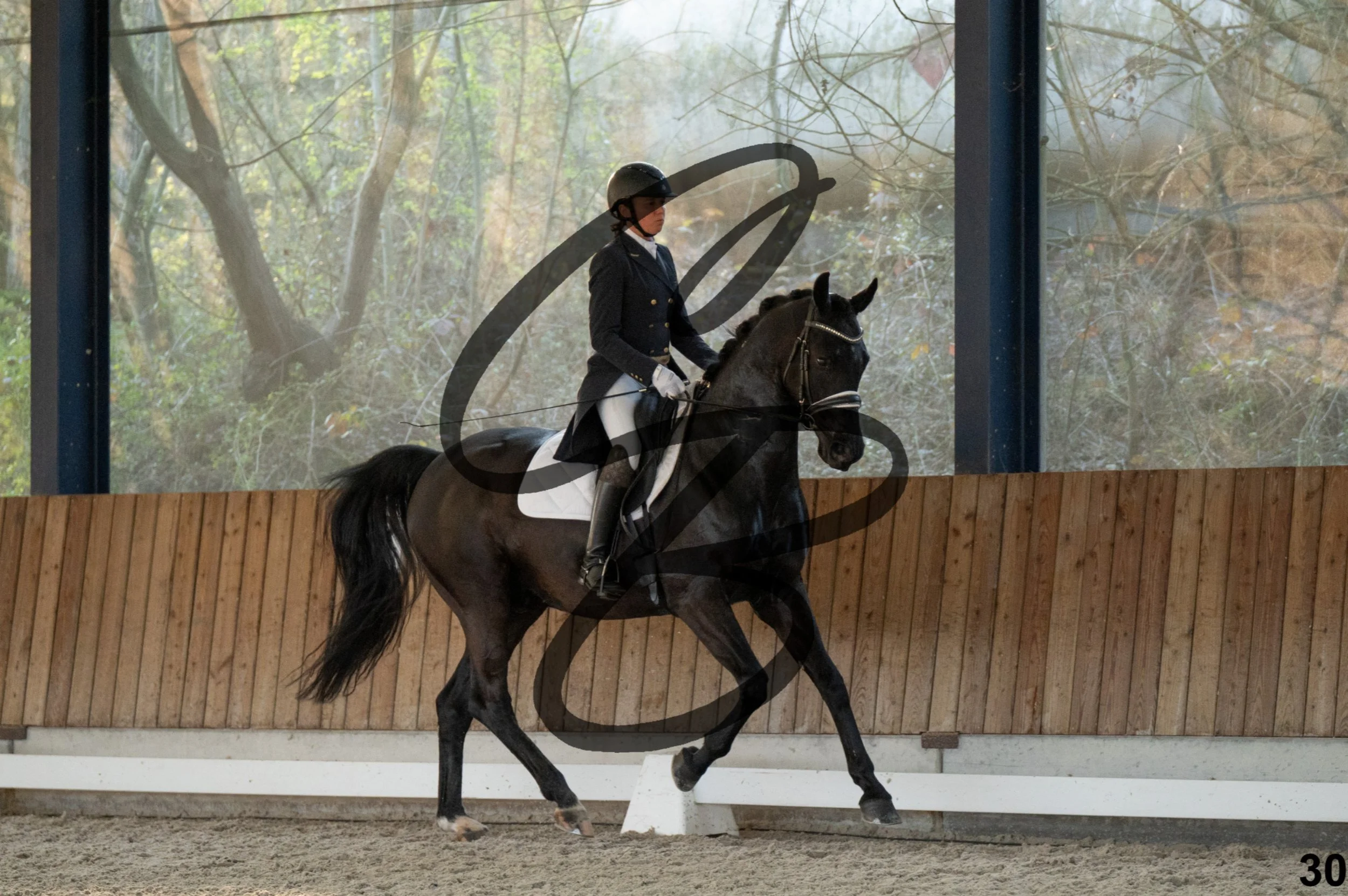 2026.03.22 - niv4.2-30.jpg