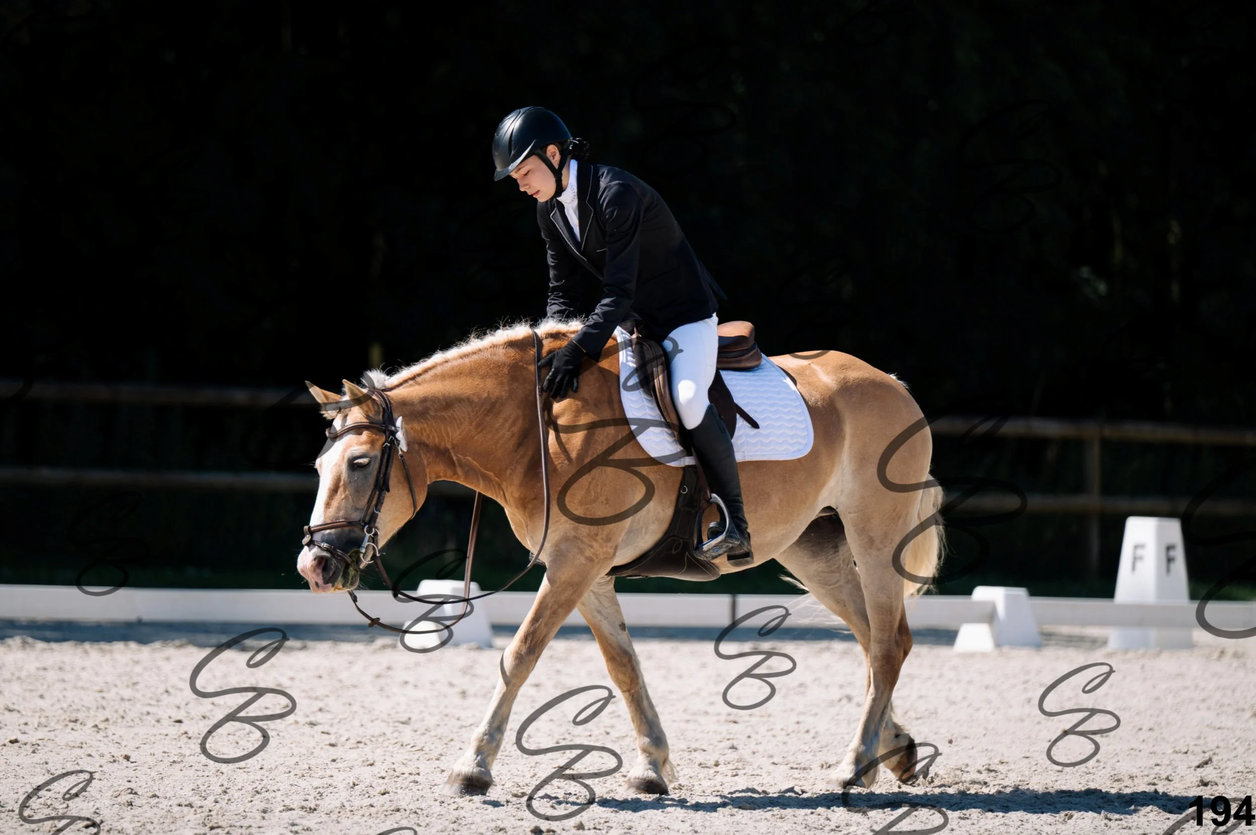 2026.07.12 -106 Niveau Initiation Poneys - Ini.6-11.jpg