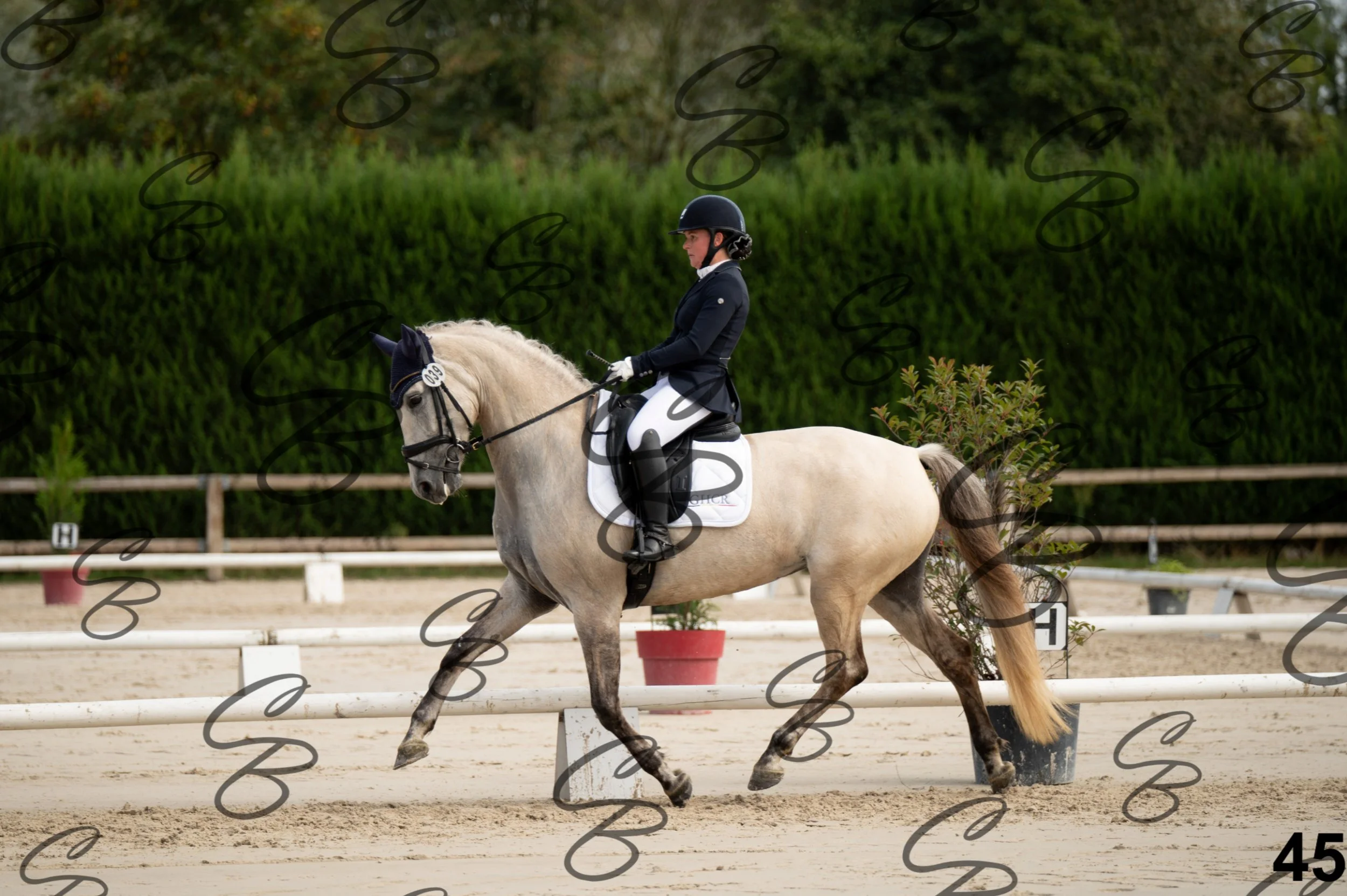 2026.09.20 - Djessy-45.jpg