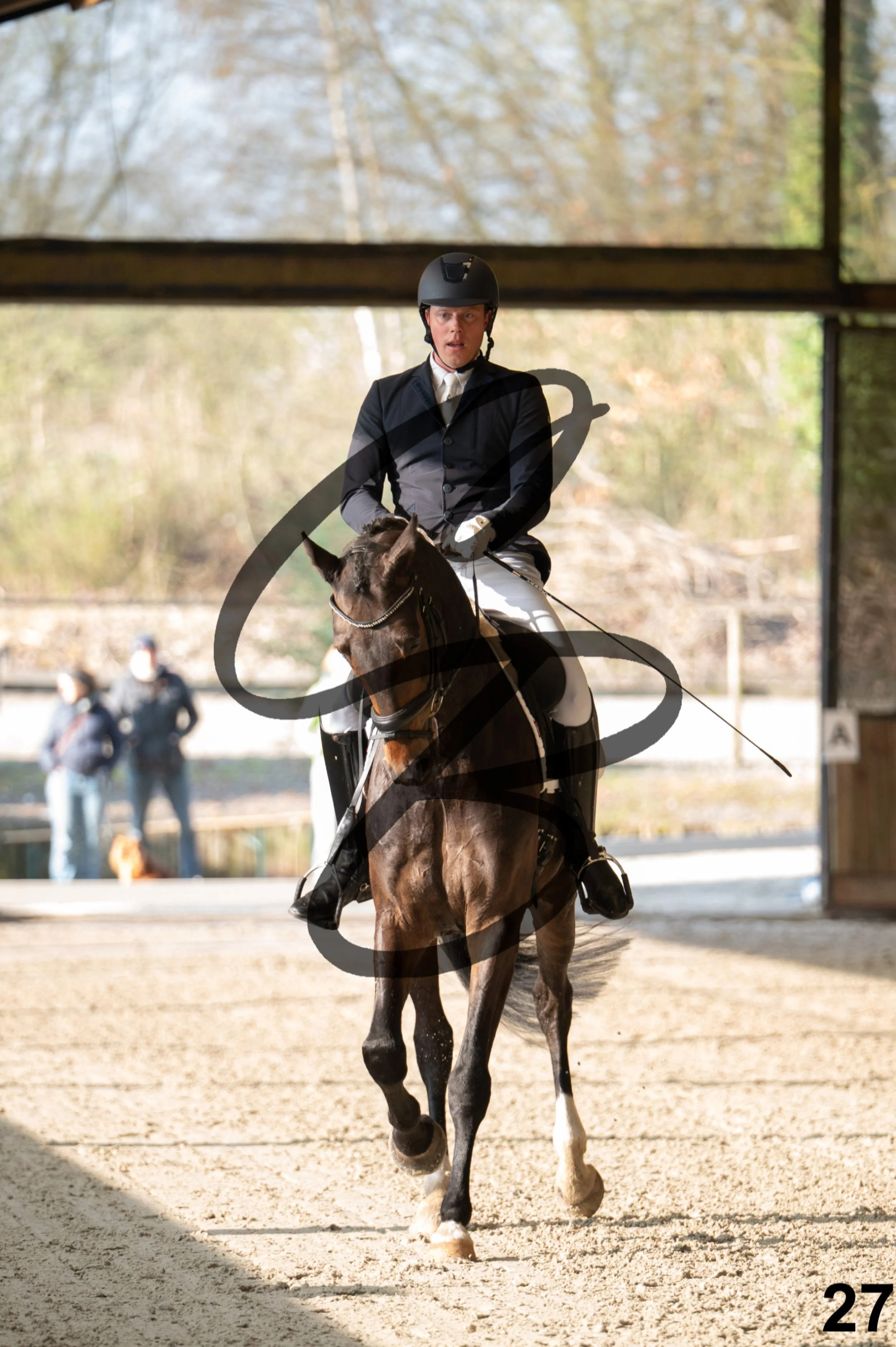 2026.03.22 - jeunes chevaux - 6ans-27.jpg