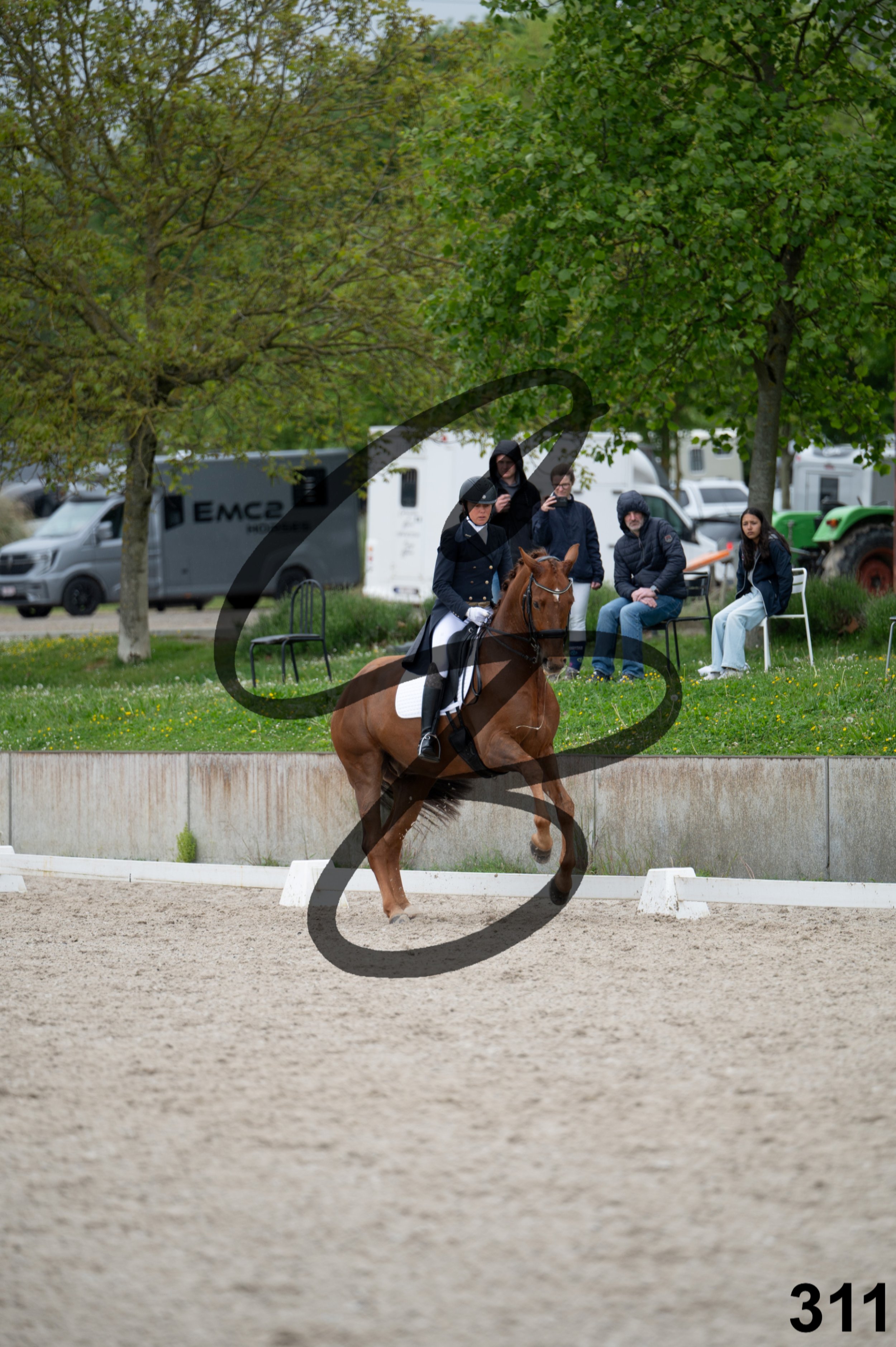 03052026-FLE_7574.jpg
