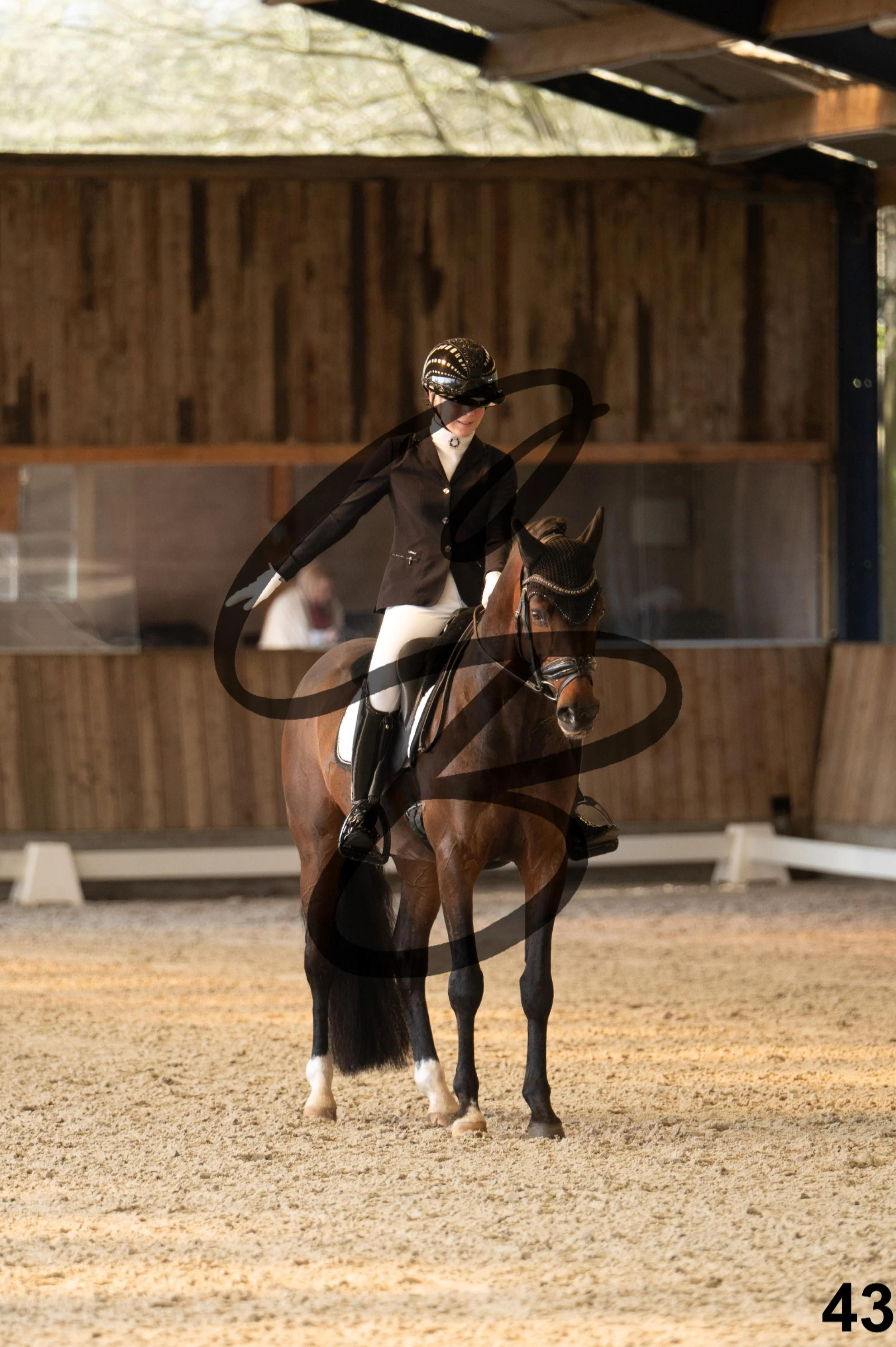 2026.03.22 - Niv3 - pony team test-43.jpg