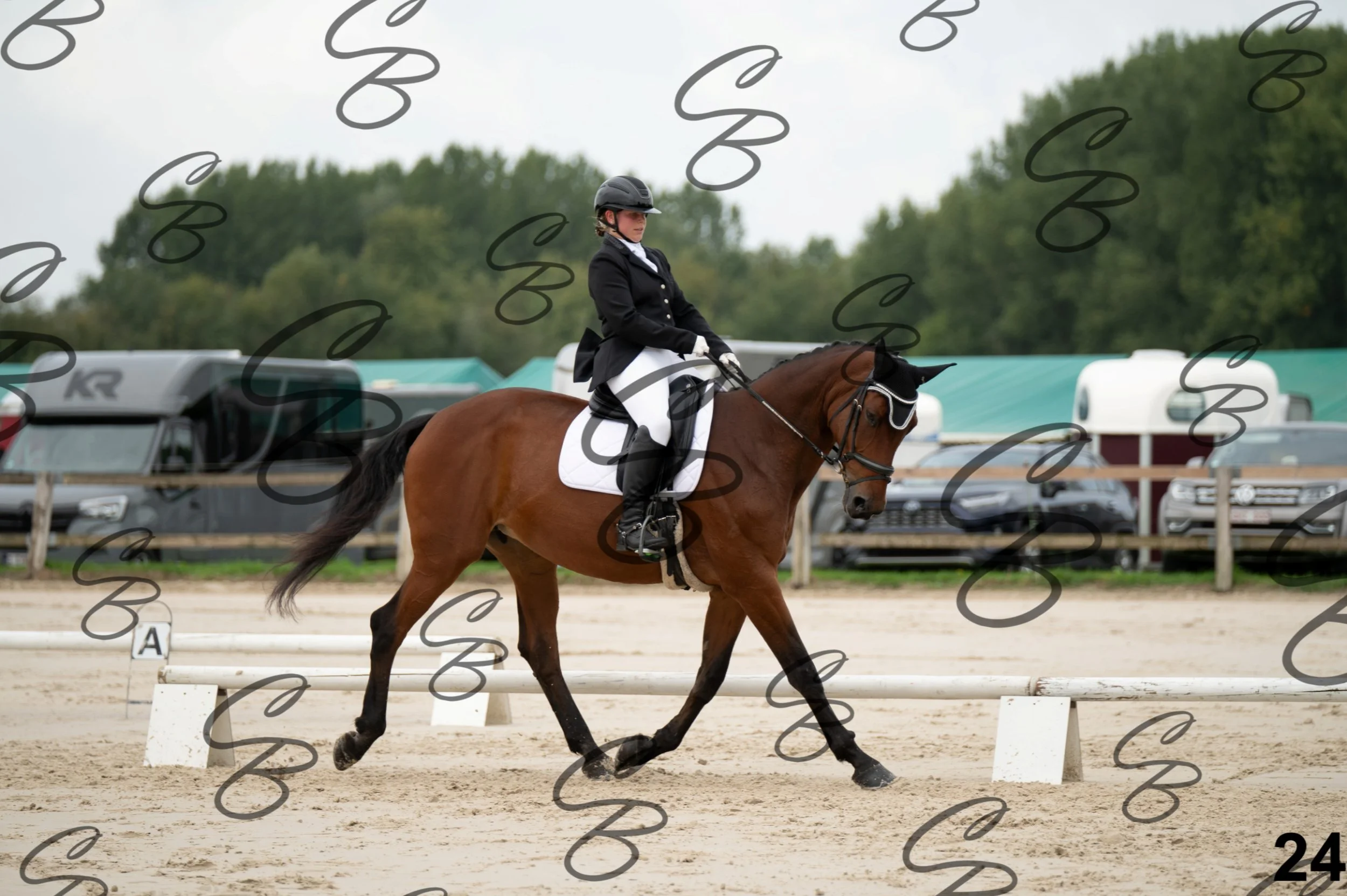 2026.09.20 - Caroline-24.jpg