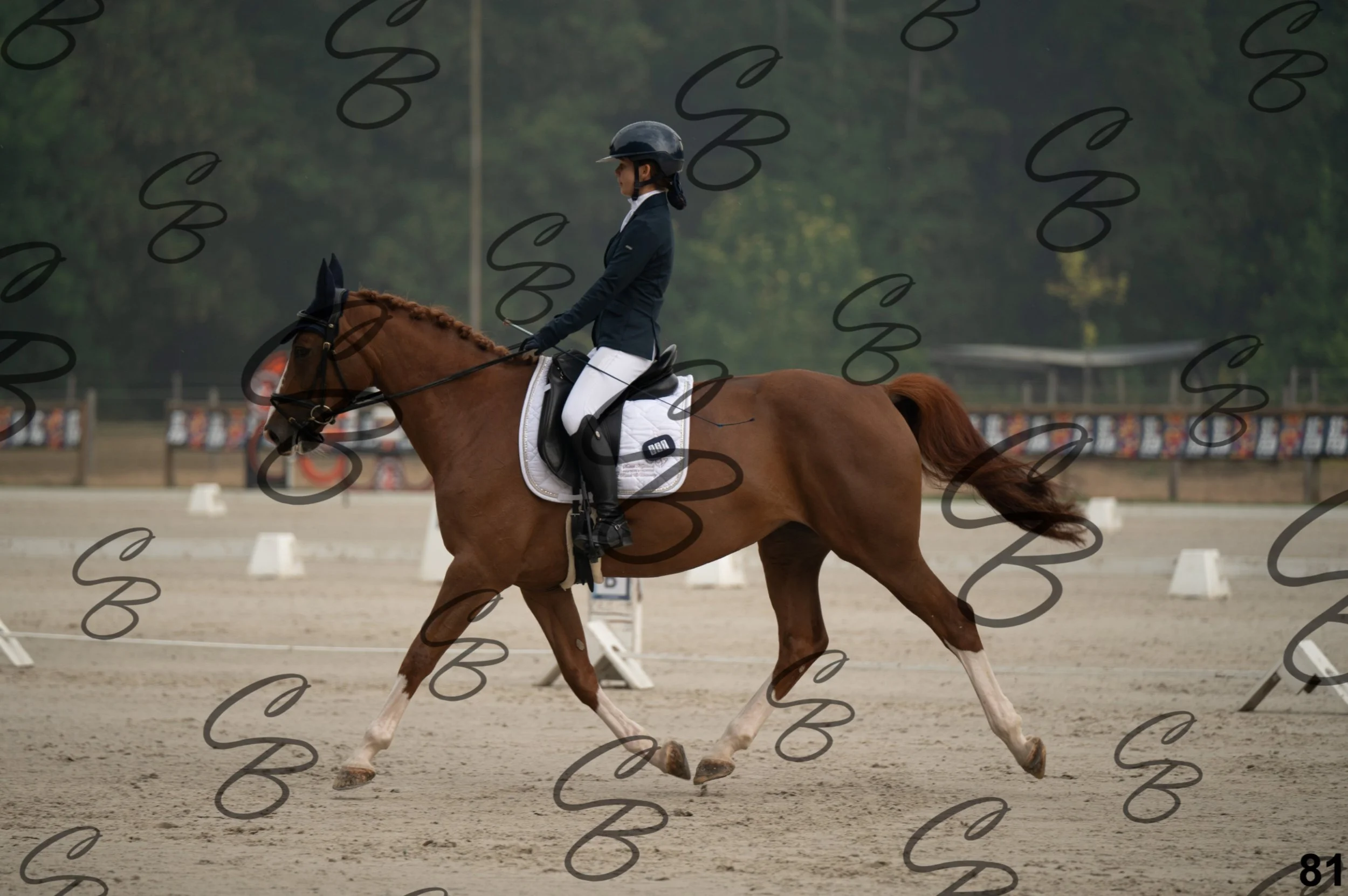 2026.08.15 - Louchier - GHO-118.jpg