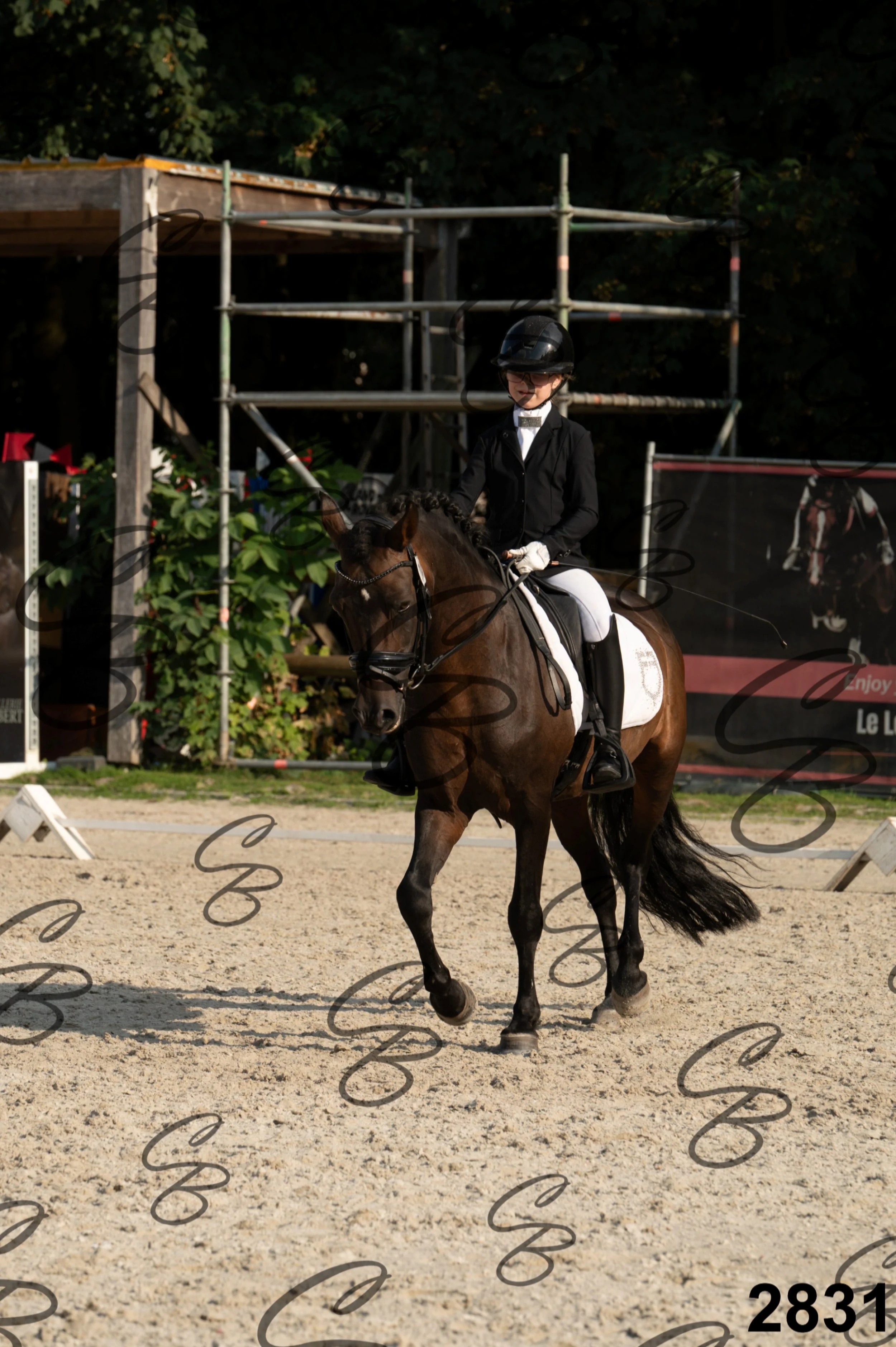 2026.08.16 - Louchier - GHO-137.jpg