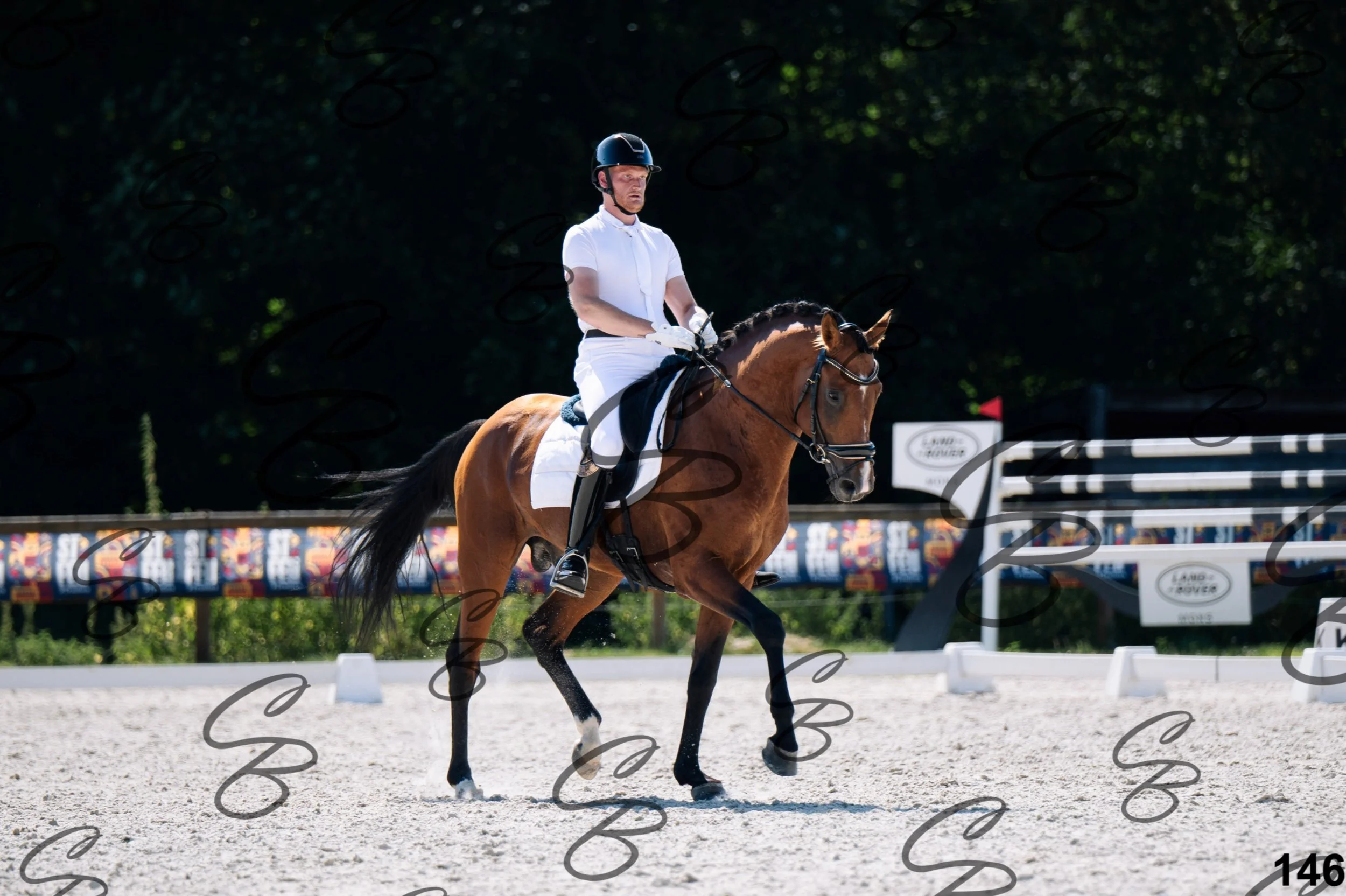 2026.07.12 - Niveau 2 - N2.4-146.jpg
