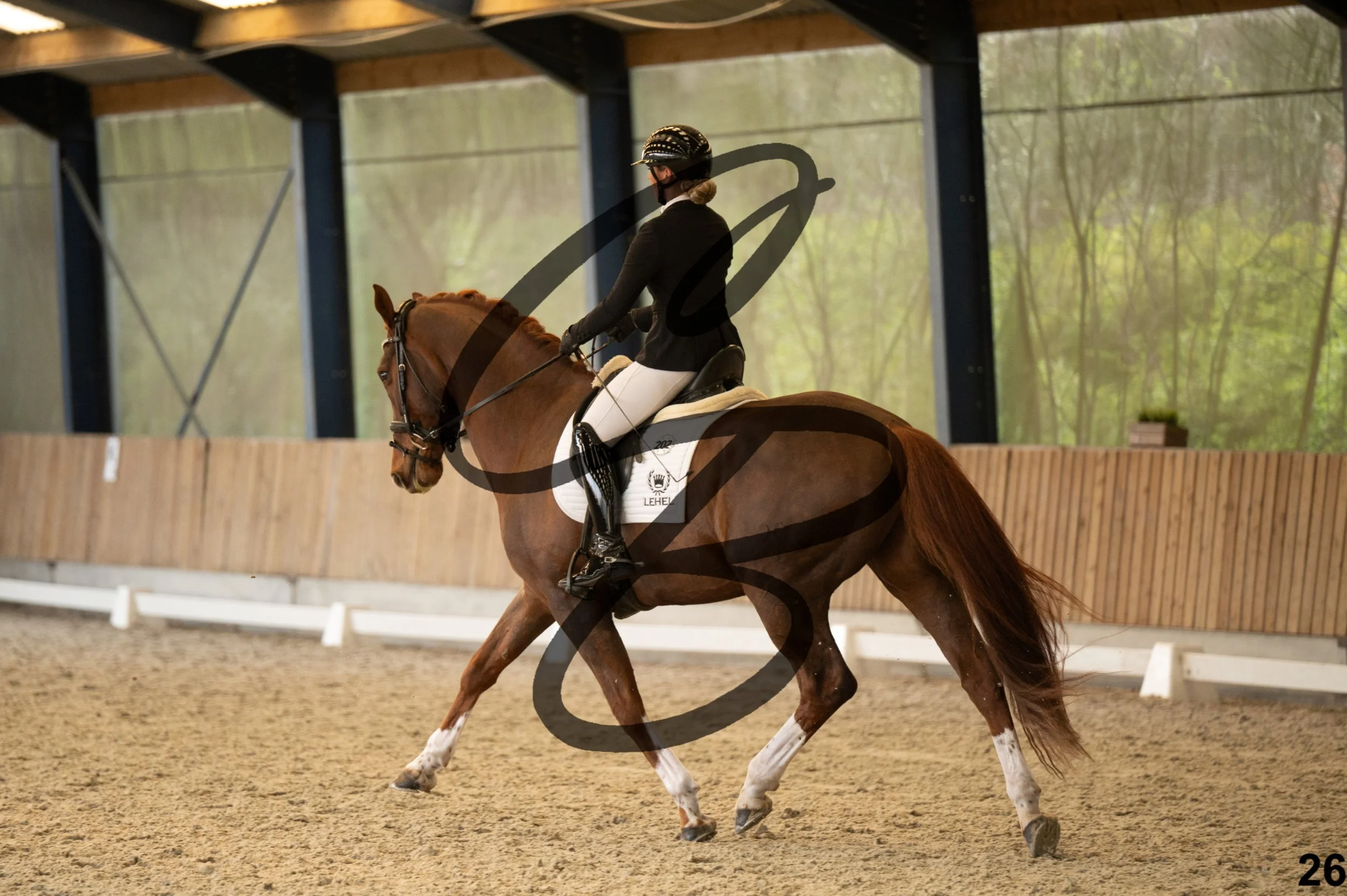 2026.03.22 - Grade 5 - grand prix test B-26.jpg
