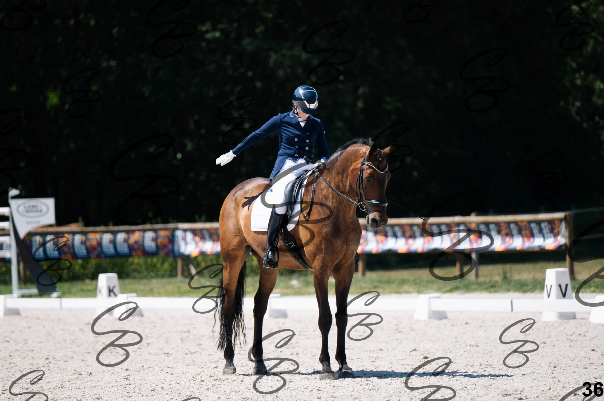 2026.07.12 - Niveau 5 - S3-36.jpg
